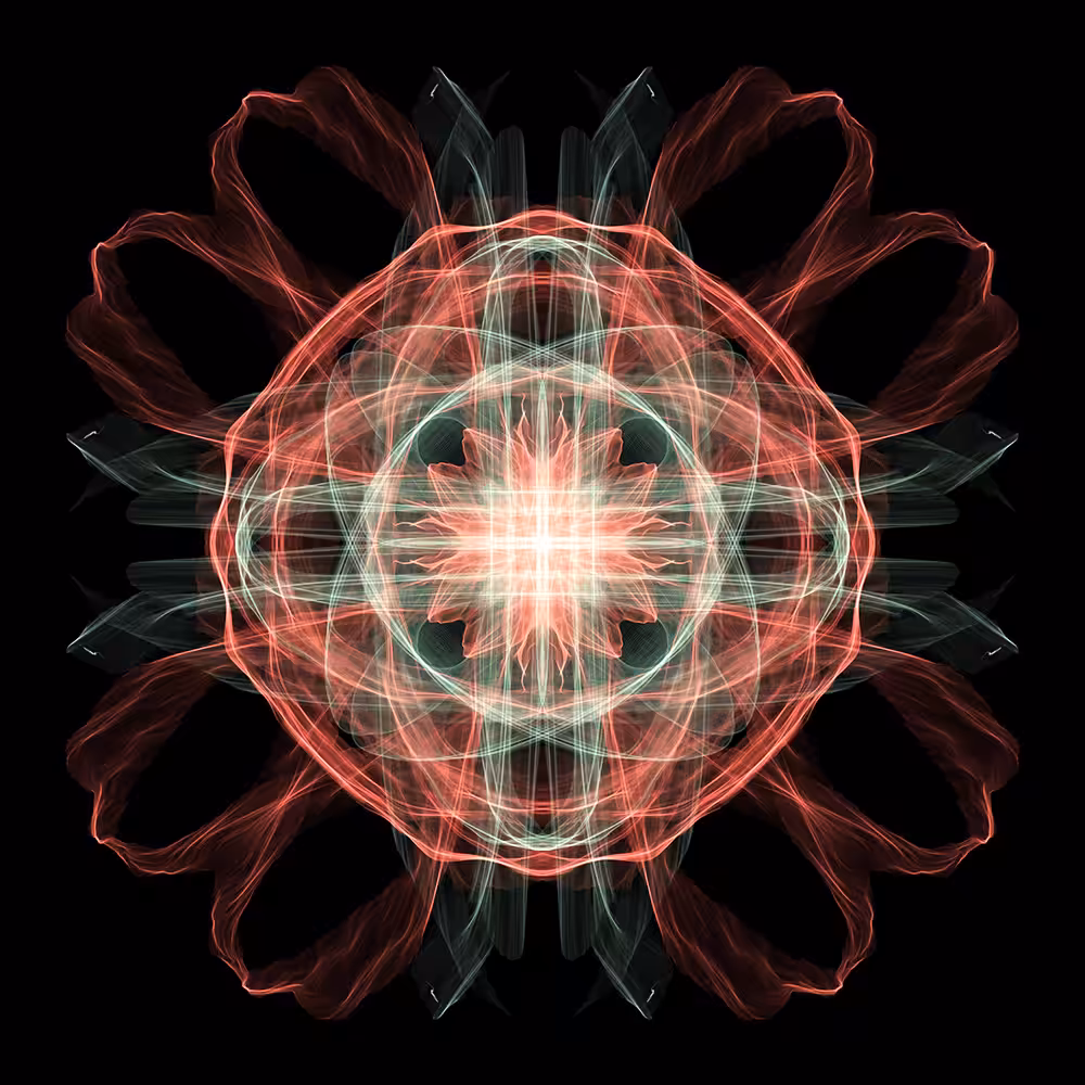 Lightforms Rose