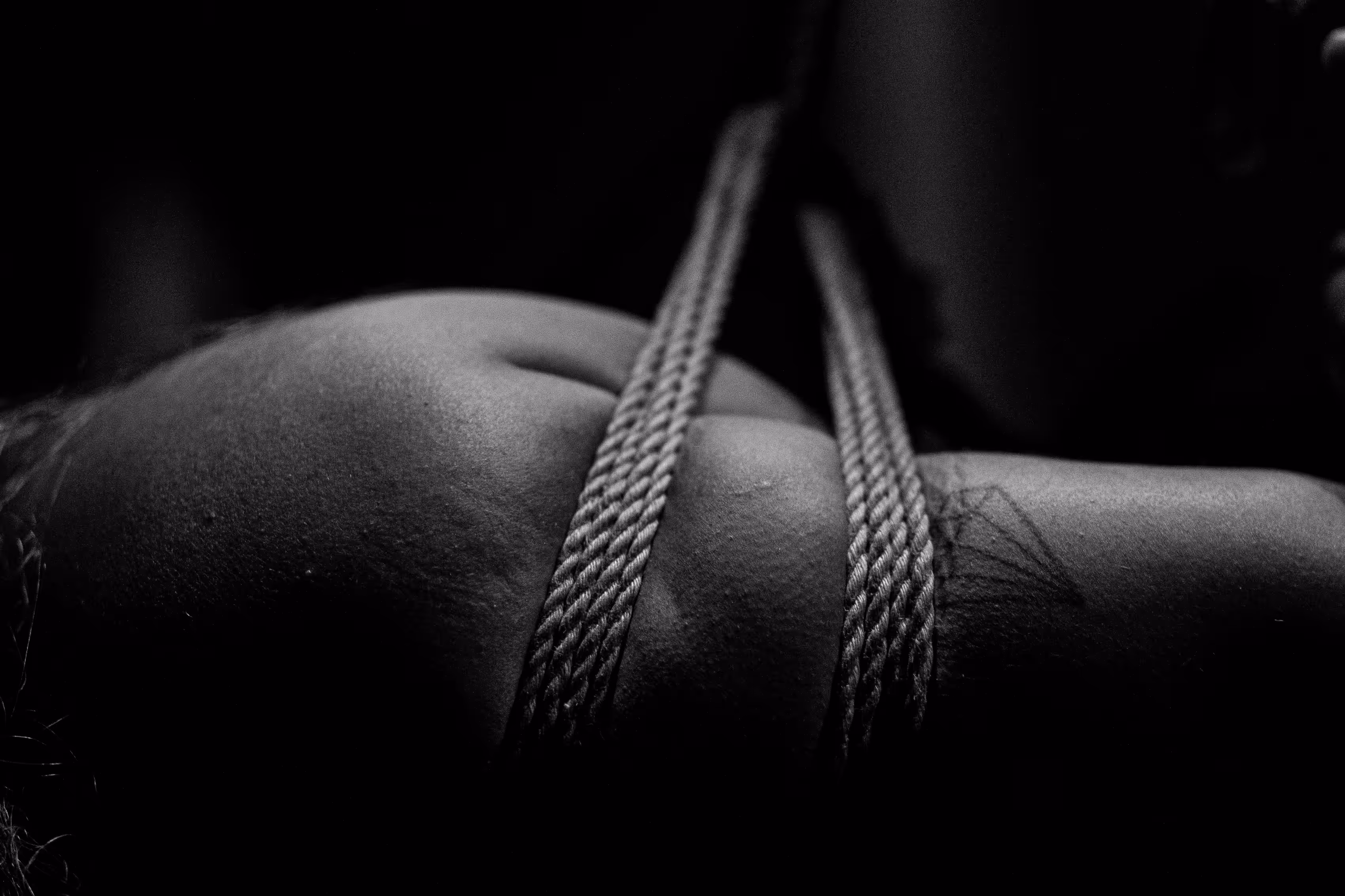 Skin & Ropes #7