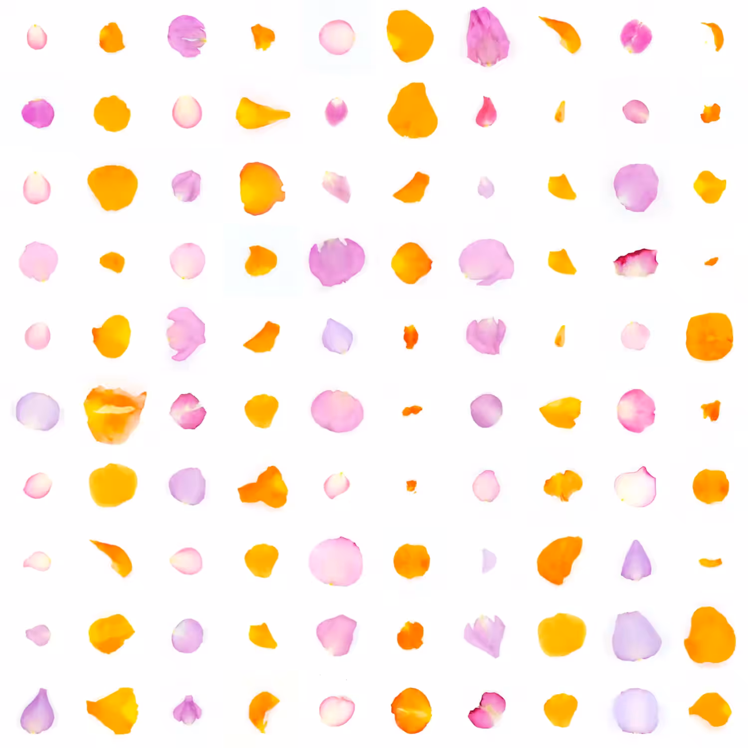 Infinite Petals 10x10#131