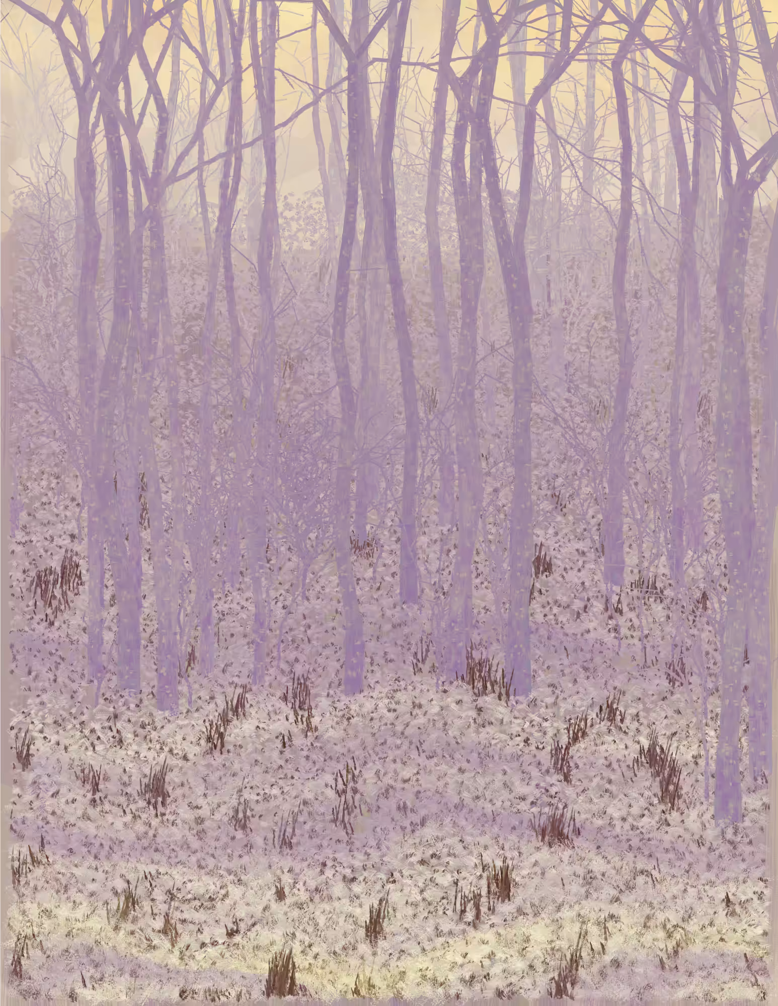 Deep Forest #235