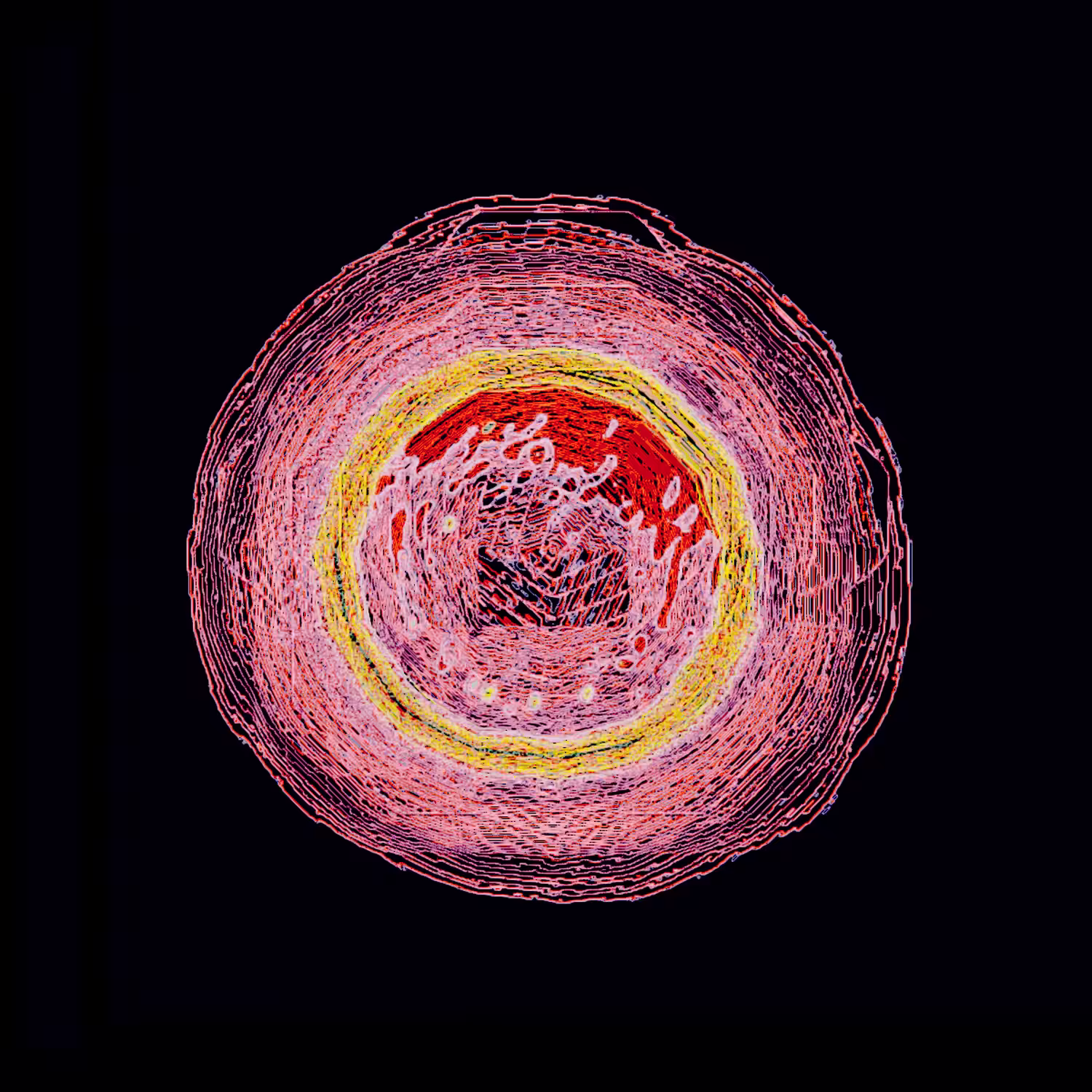 m2202191719png1500x1500