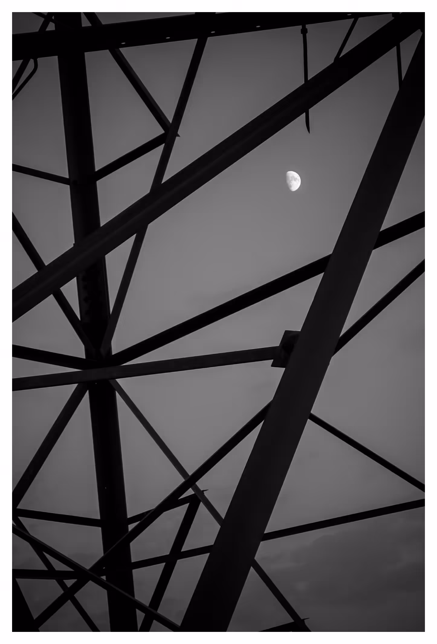 Moonlight in a cage