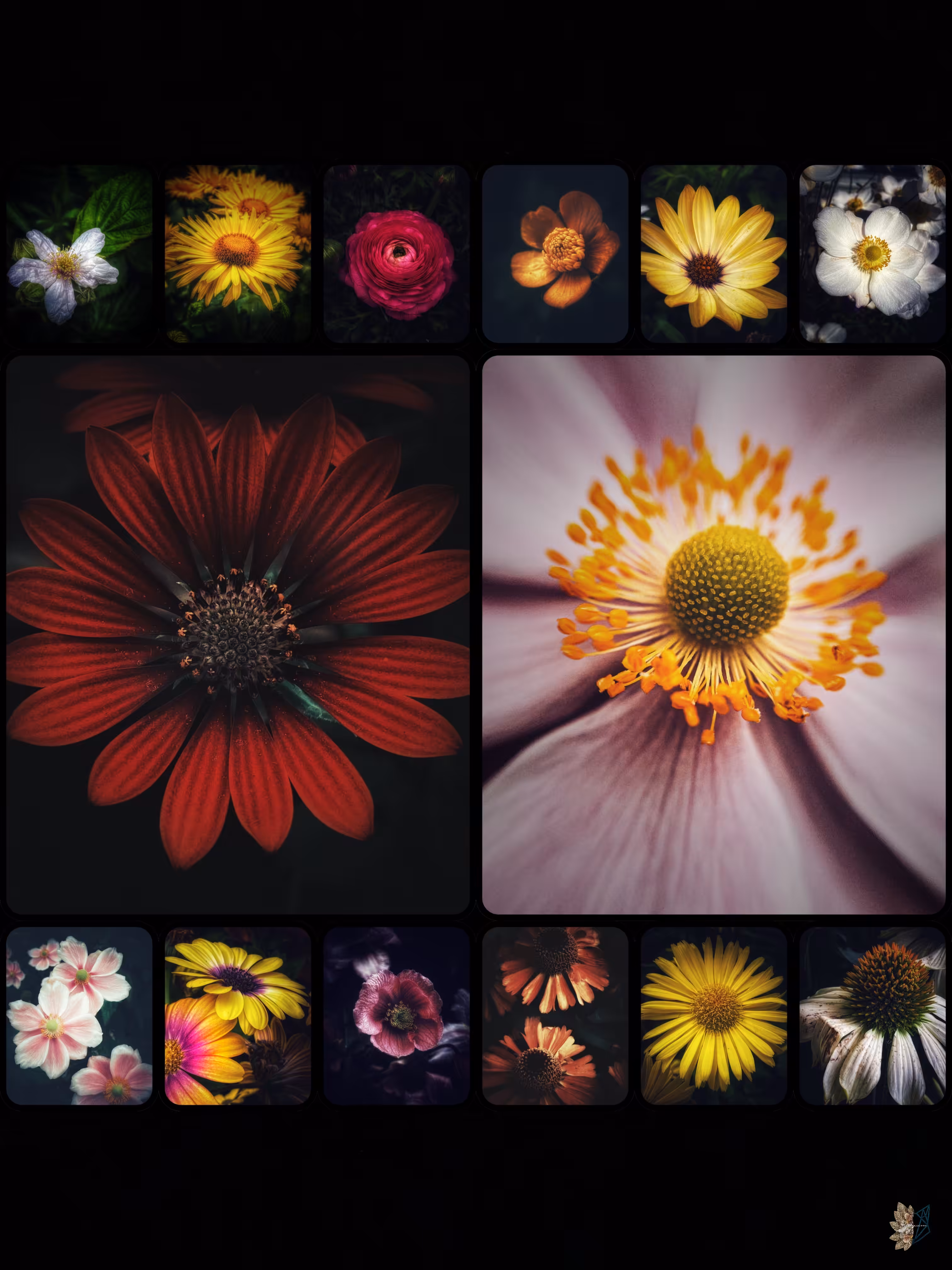 Blooming Marvellous 