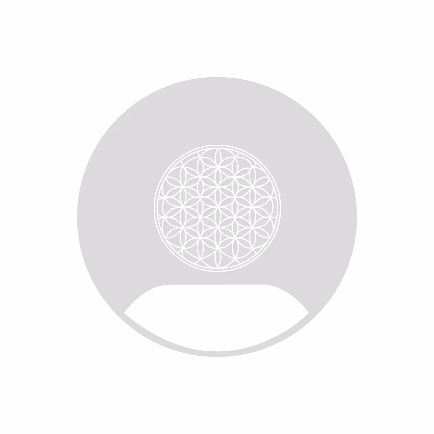 No PFP #0657