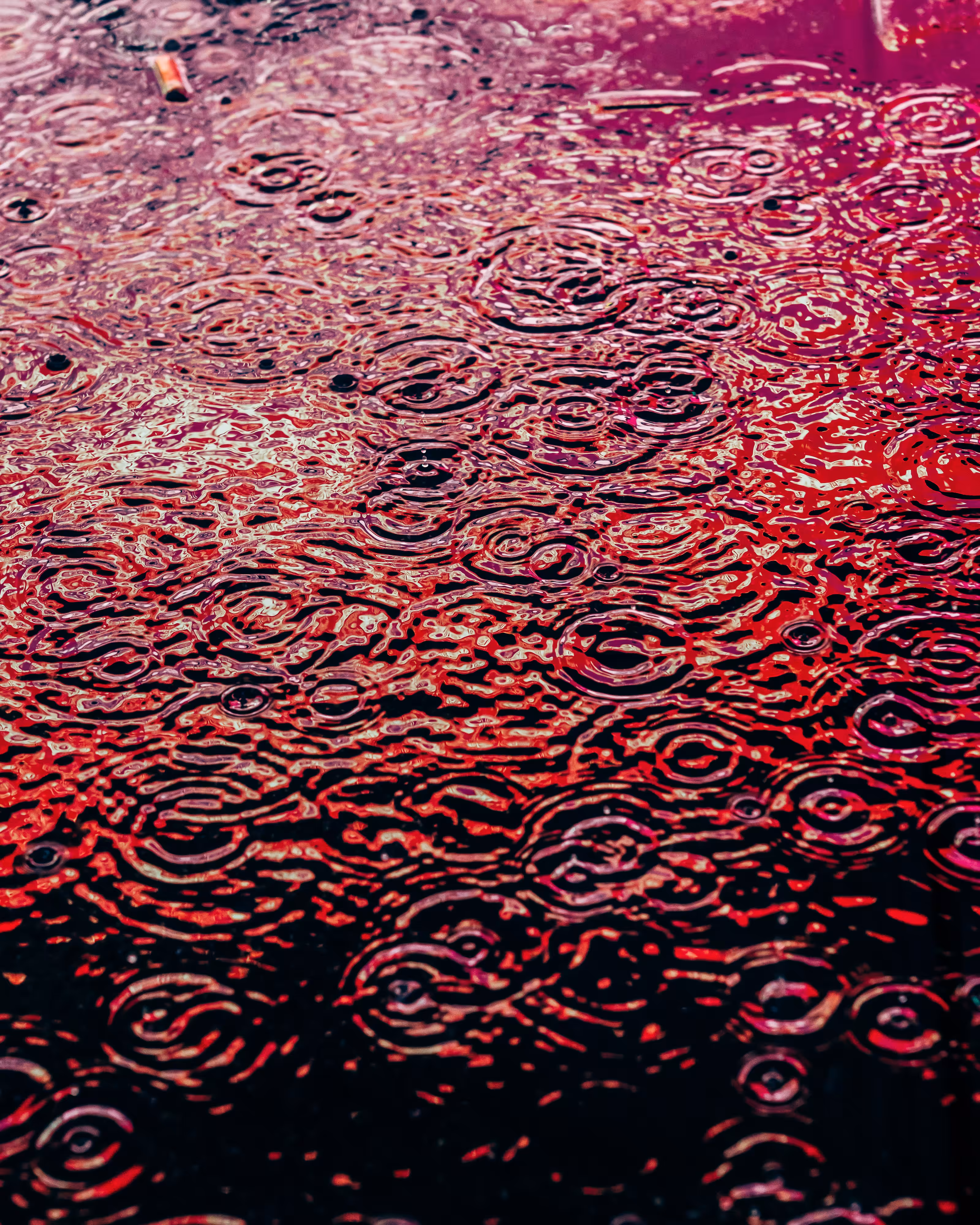 DRIP #172