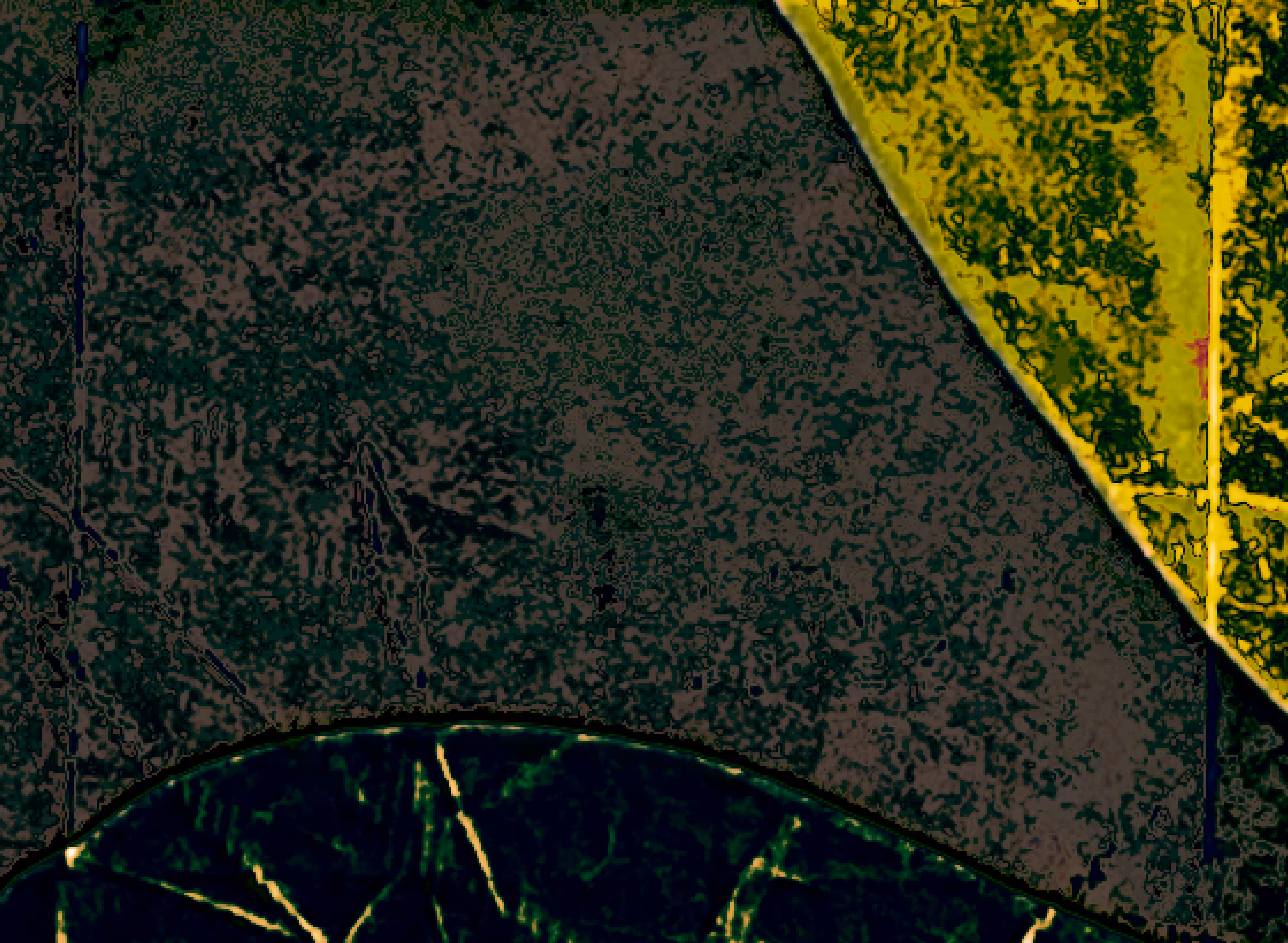 whirled territory #3