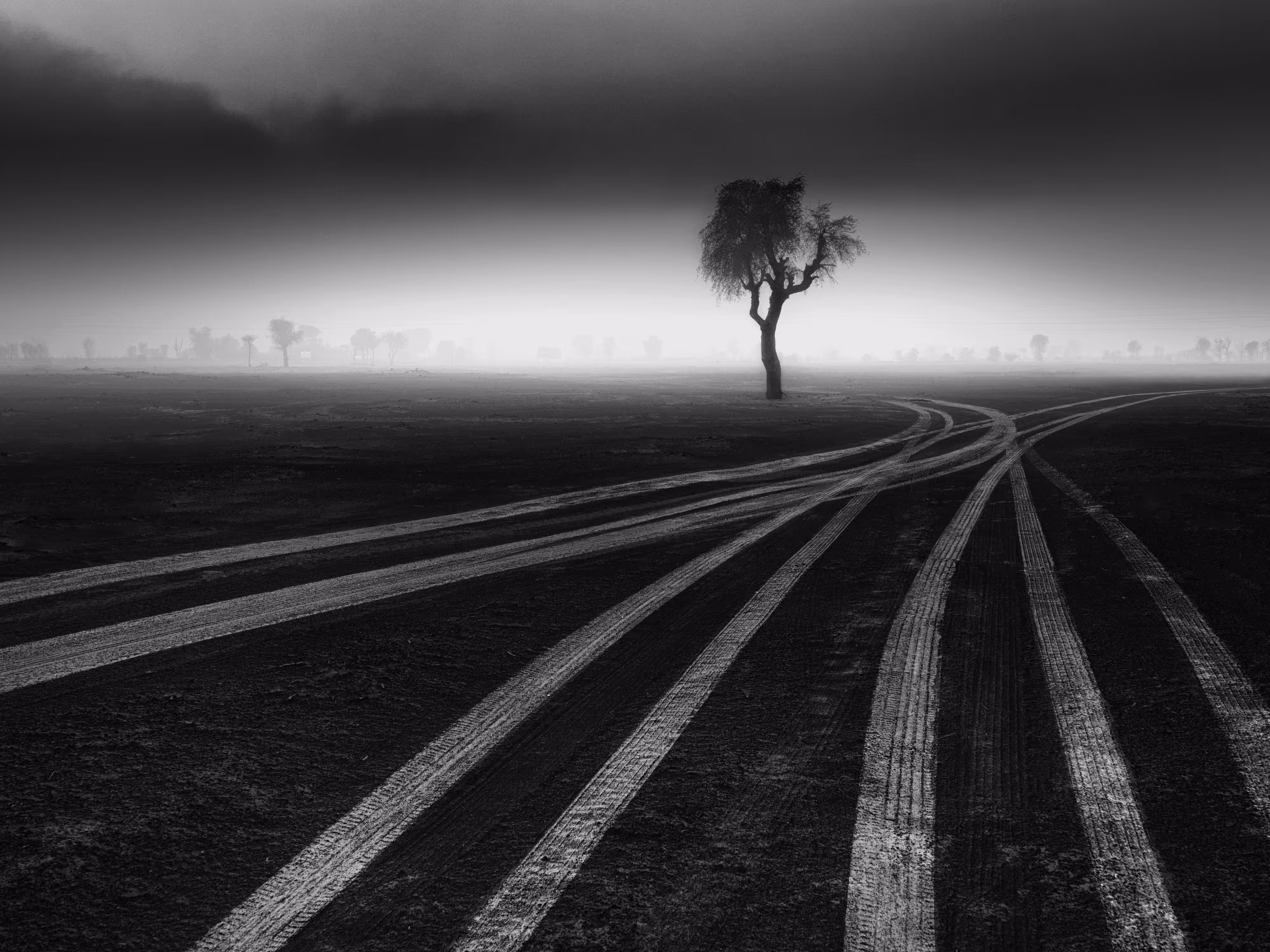 IN TO THE LIGHT: In To The Light 09/24