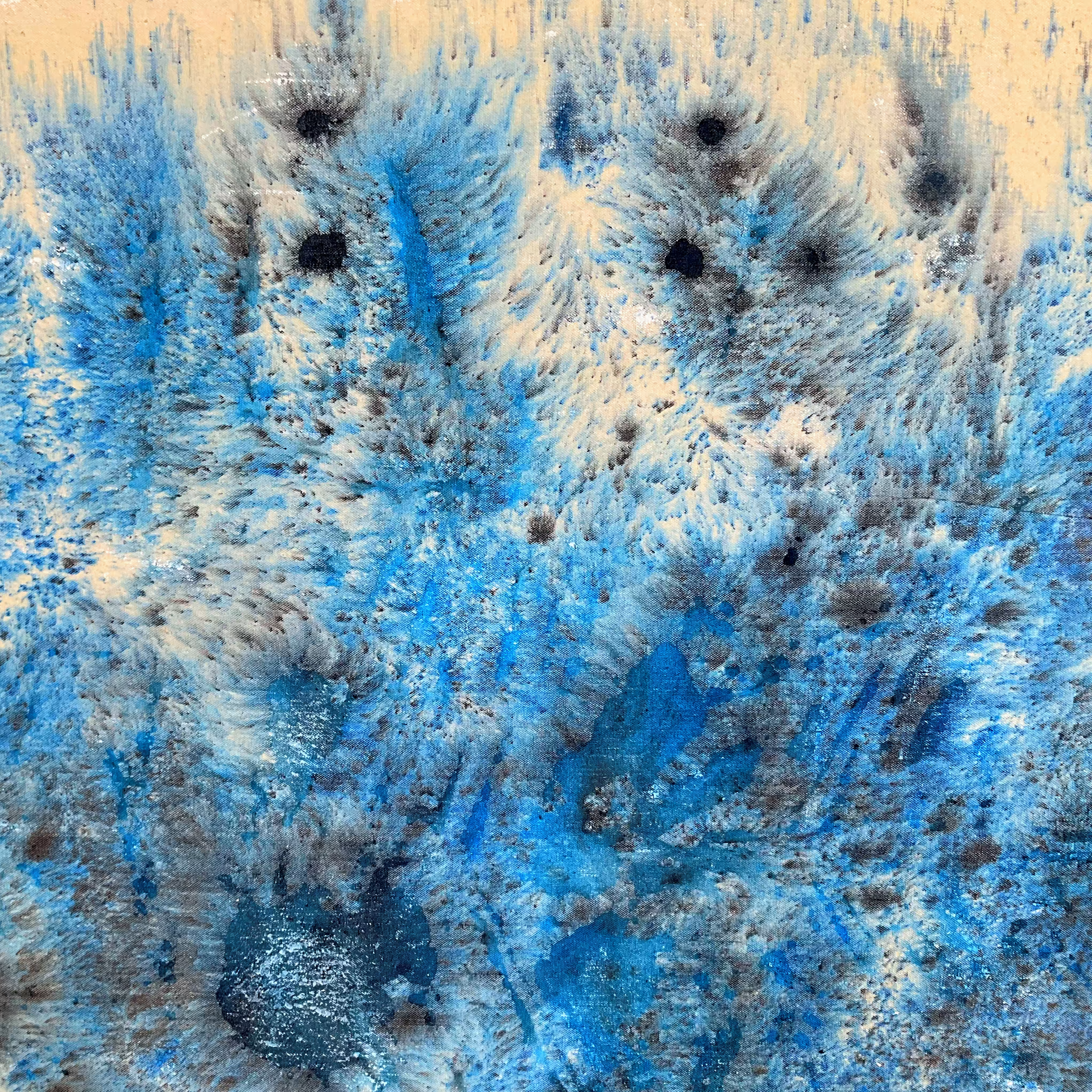 winter field