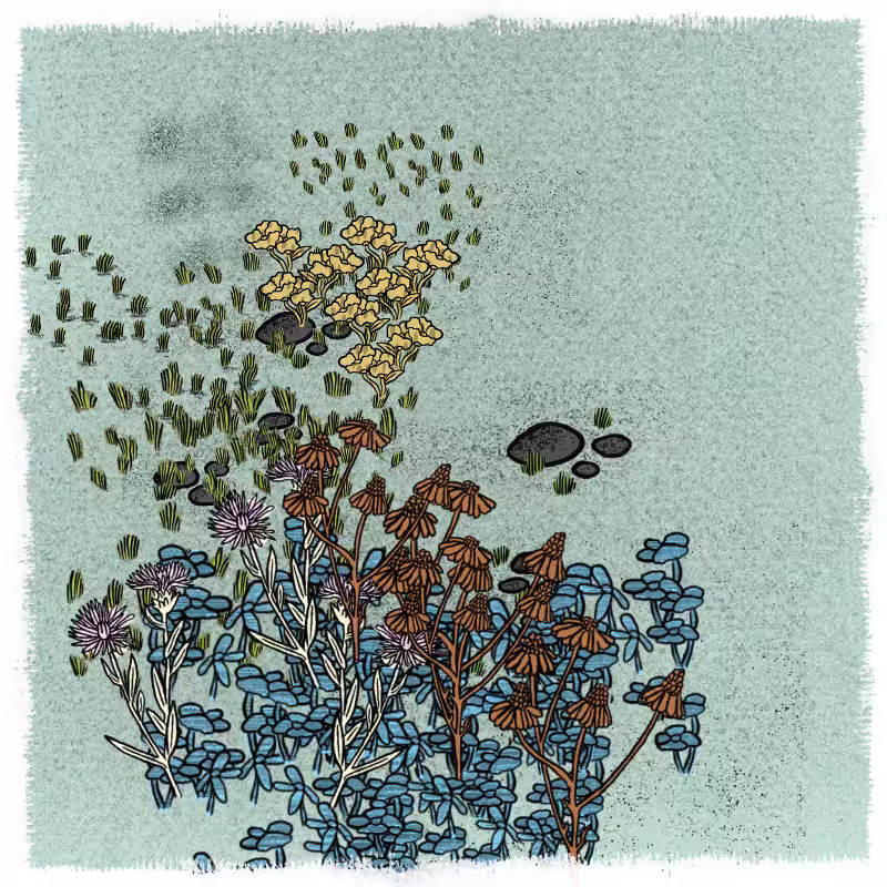 Gardens  #103