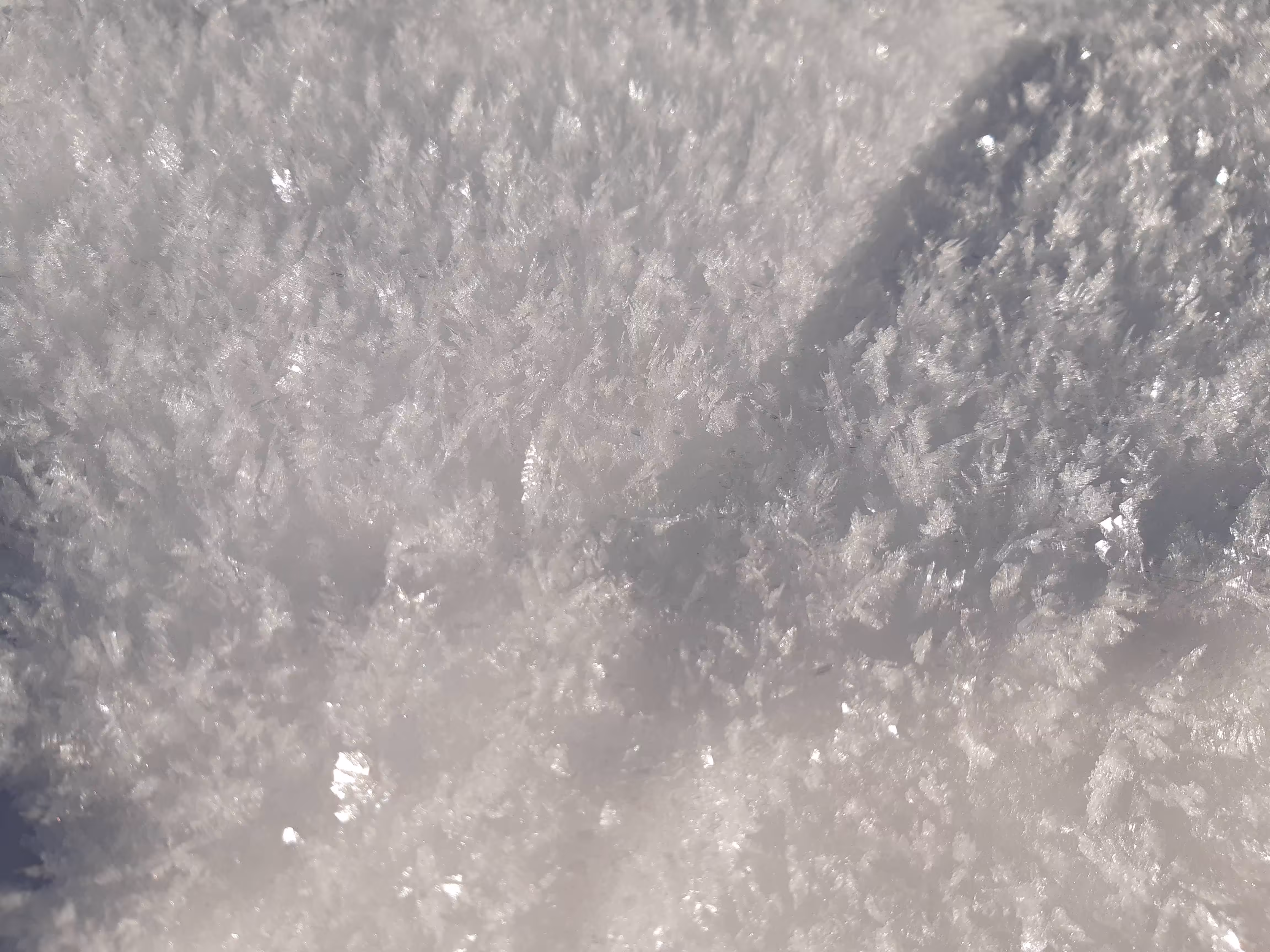 De la Neige en été #3