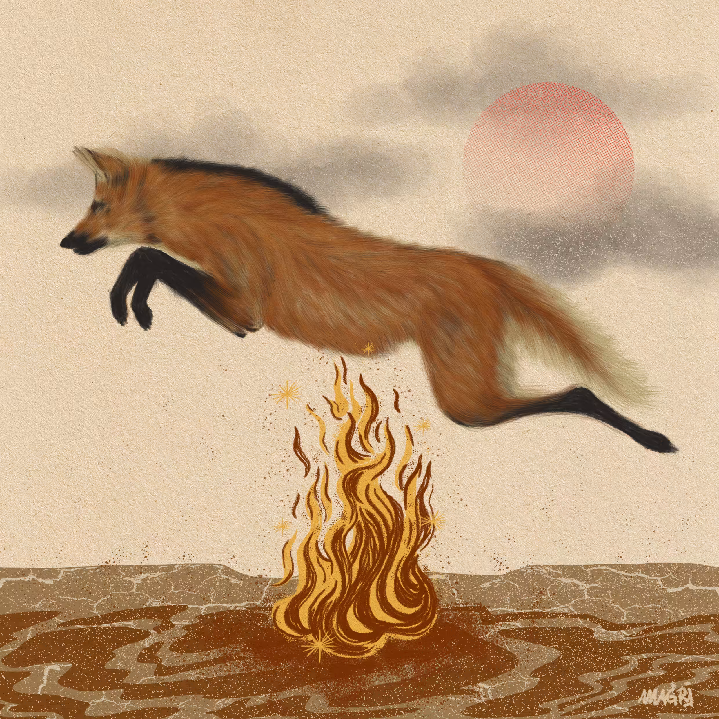 guará wolf (lobo-guará)