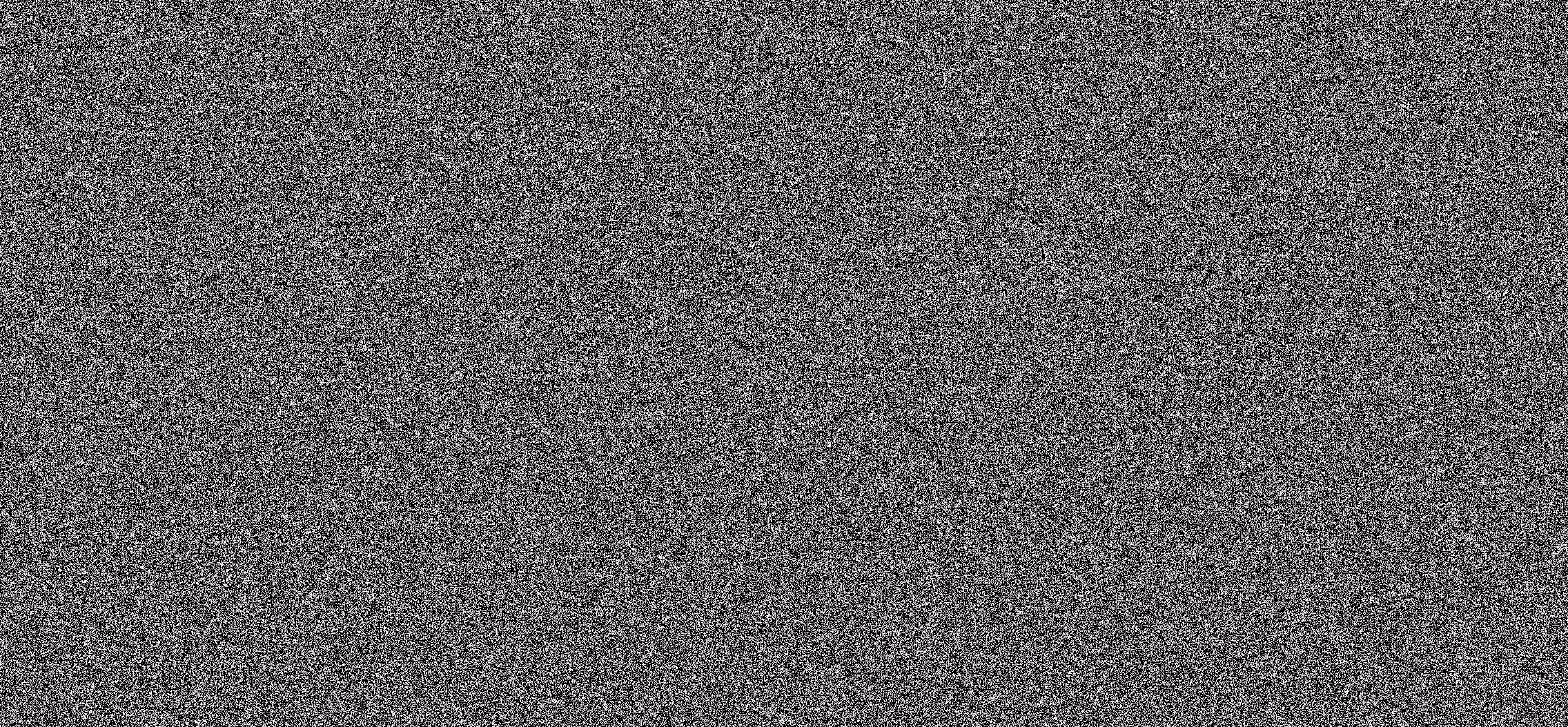 WE ARE NOISE