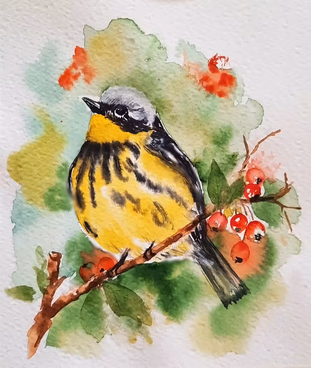 Magnolia warbler