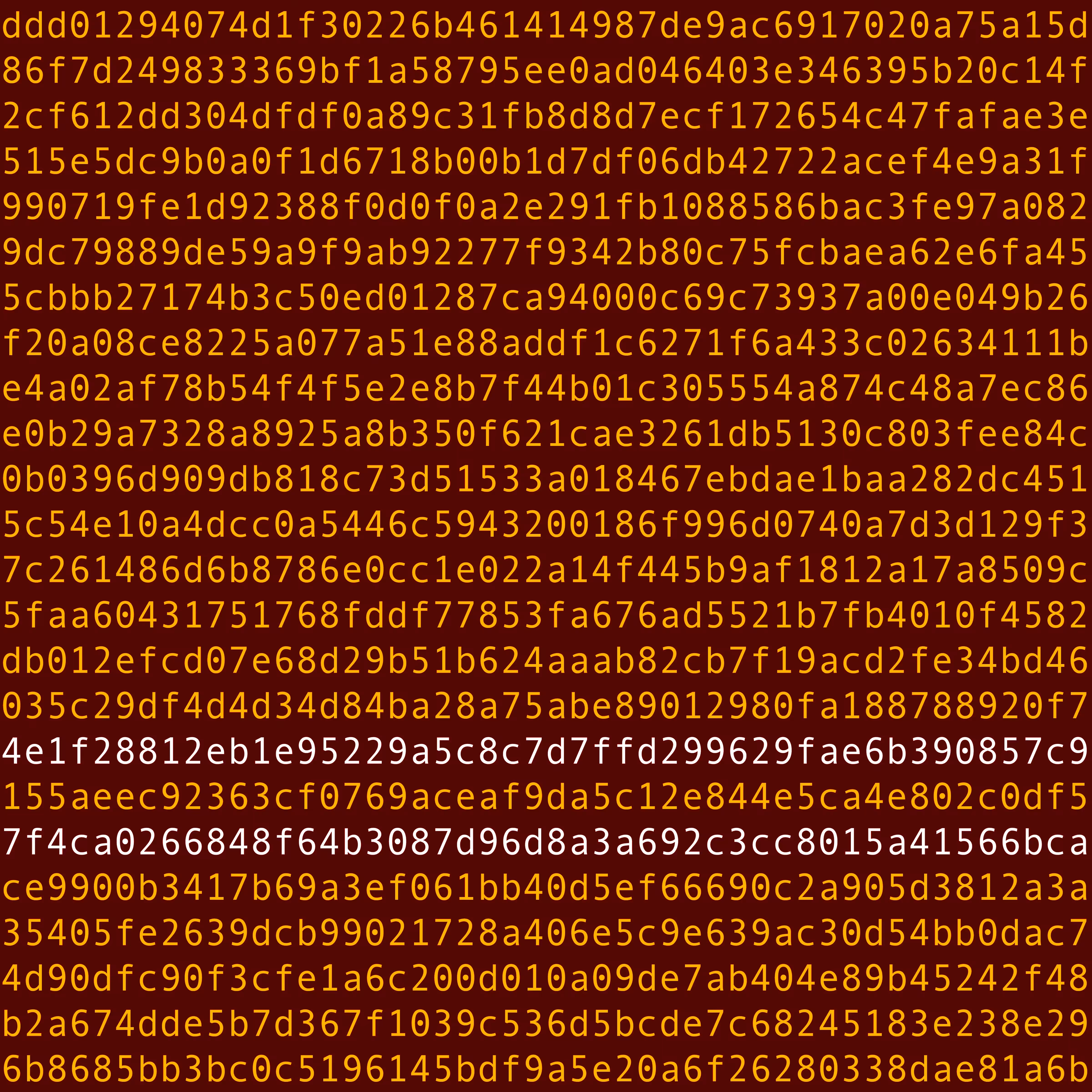 1111 #0007