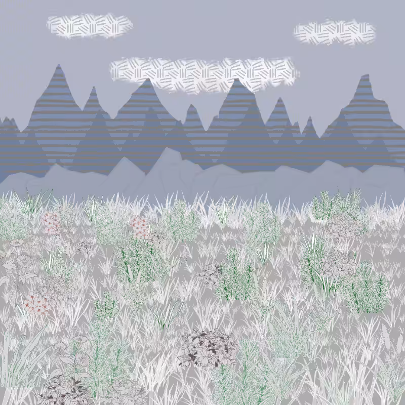 Mountain Meadows #20