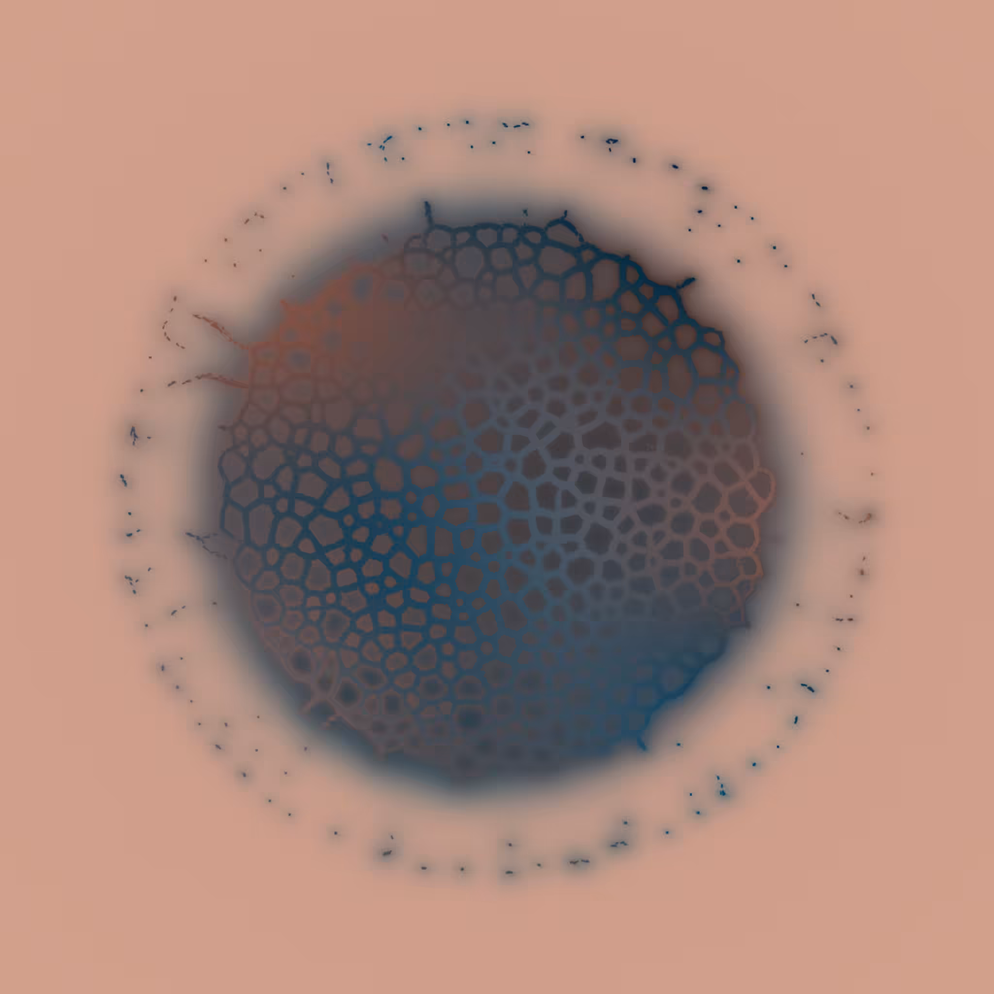 Agnoscopic #26