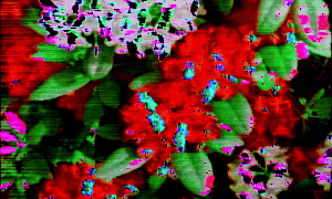 𝓼𝓮𝓪𝓼𝓸𝓷.𝟑