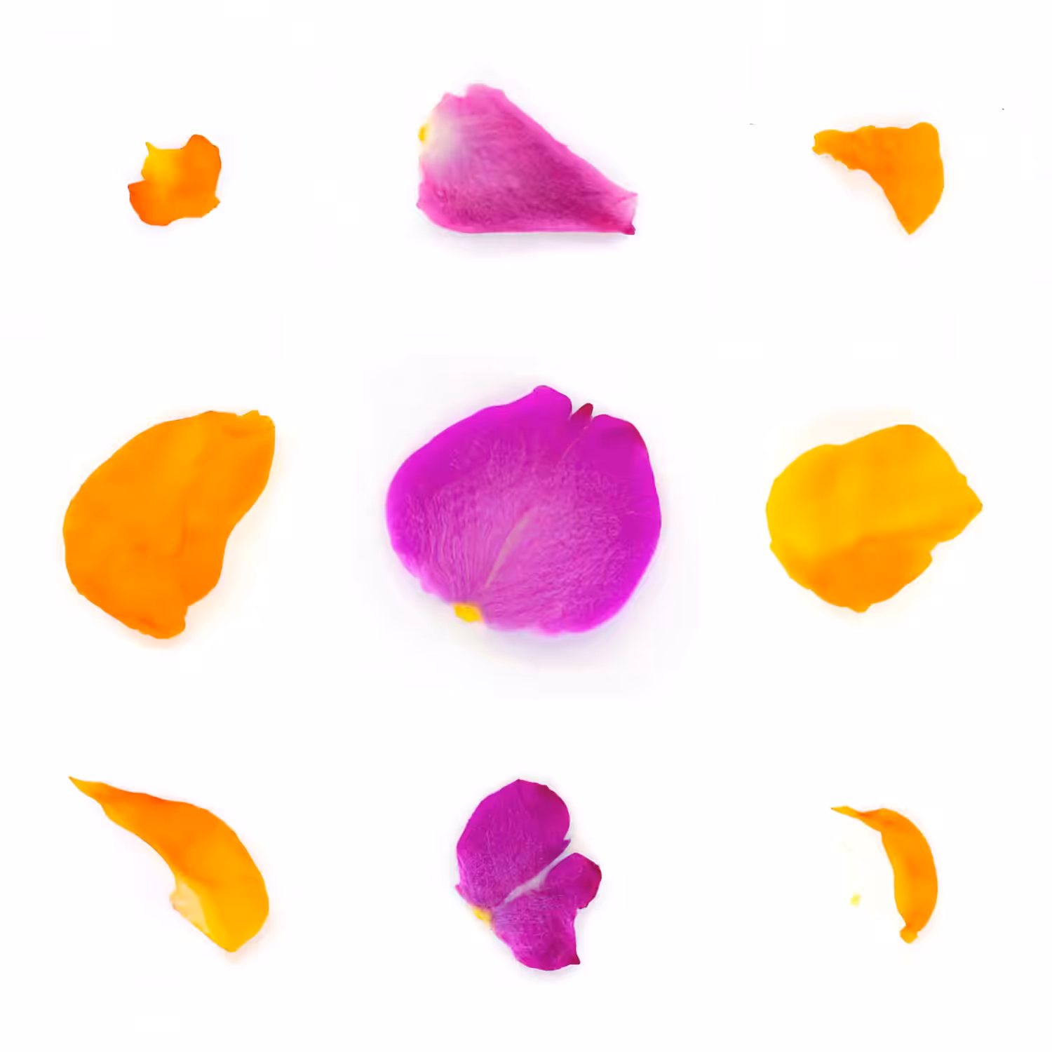 Infinite Petals 3x3#2128