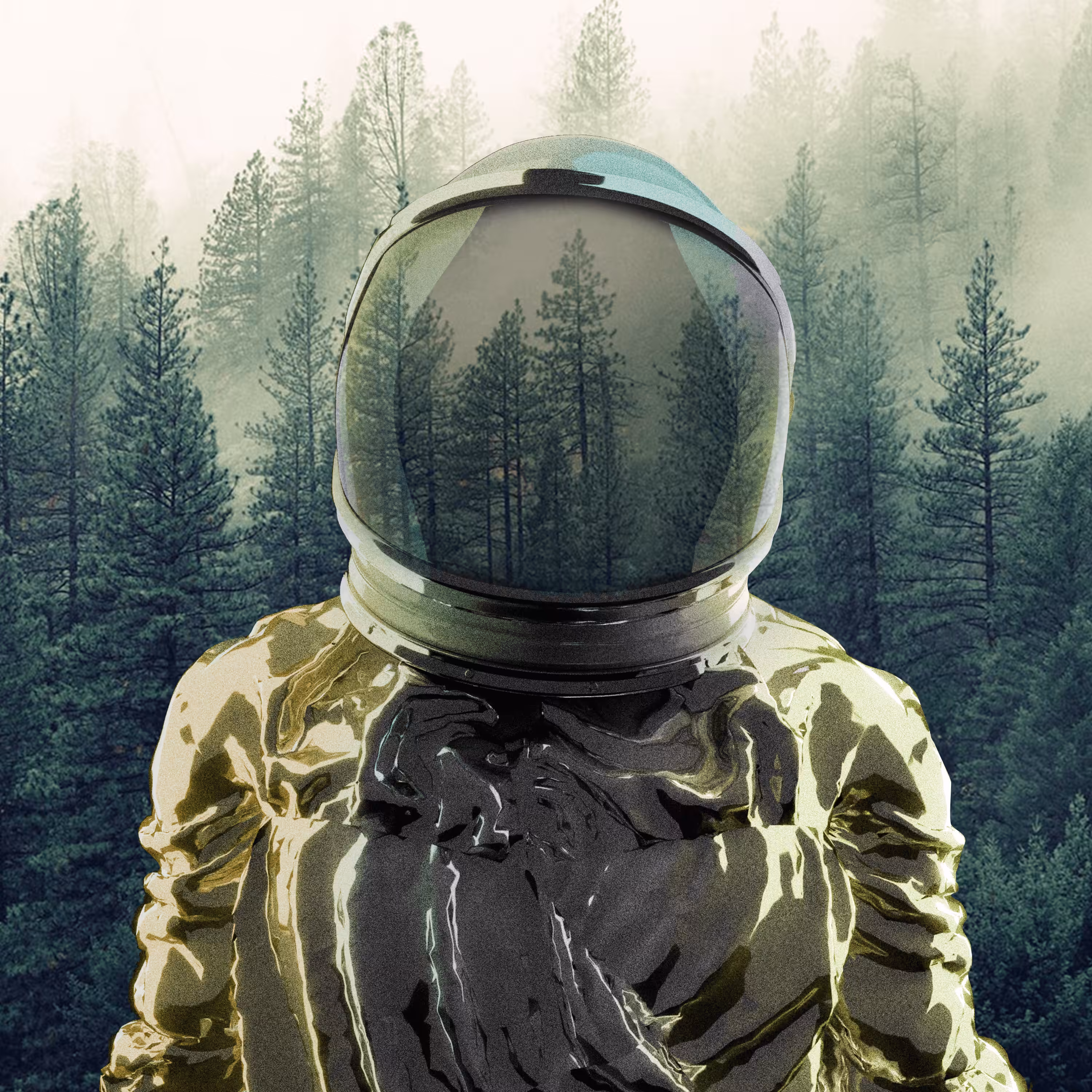 Astro Dome - 29