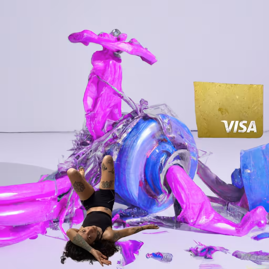 congratulations, your Visa was denied