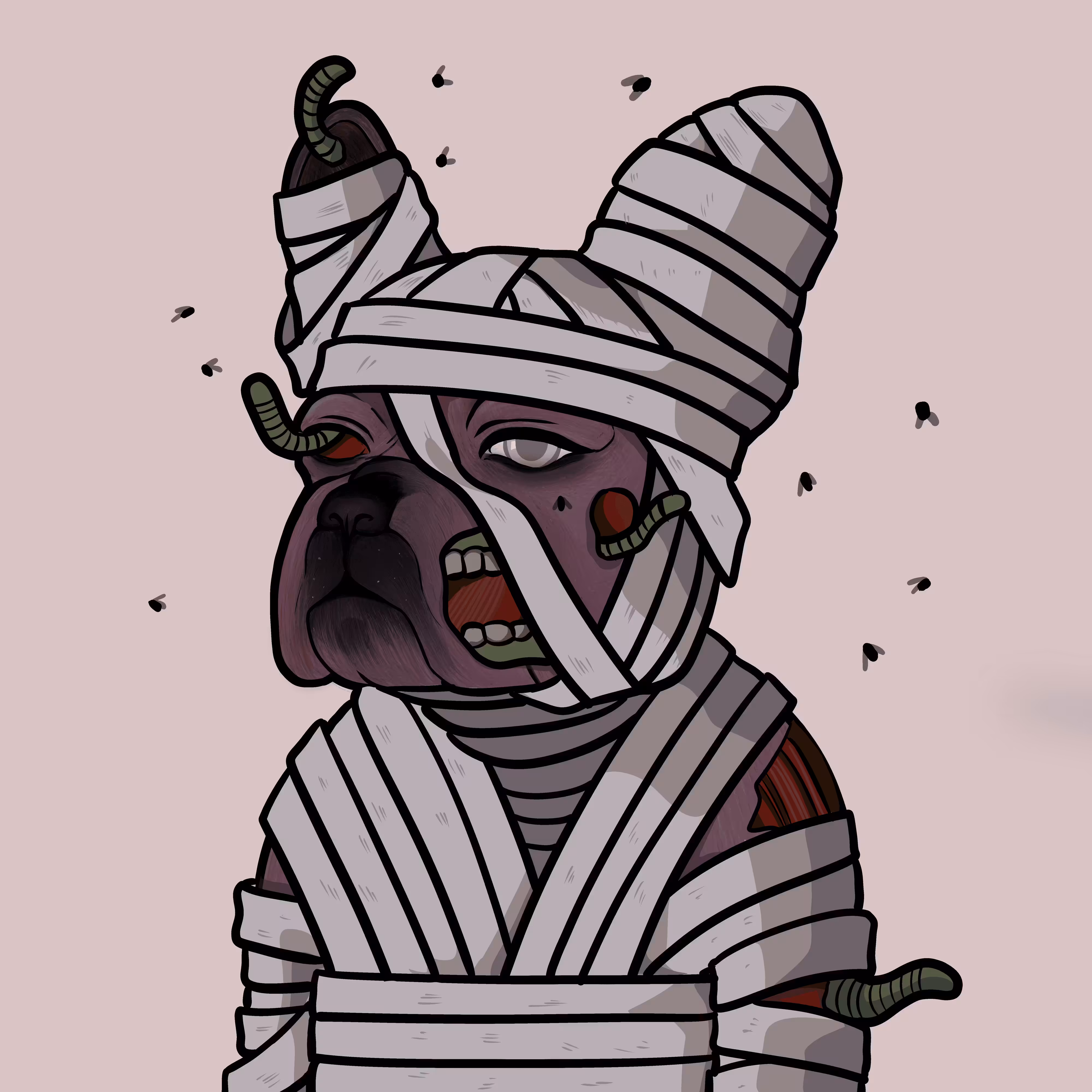 12 Mummified  Pup