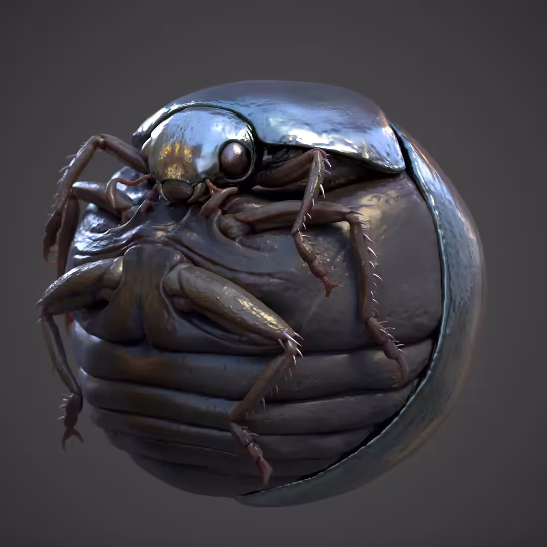 Silver Beetle