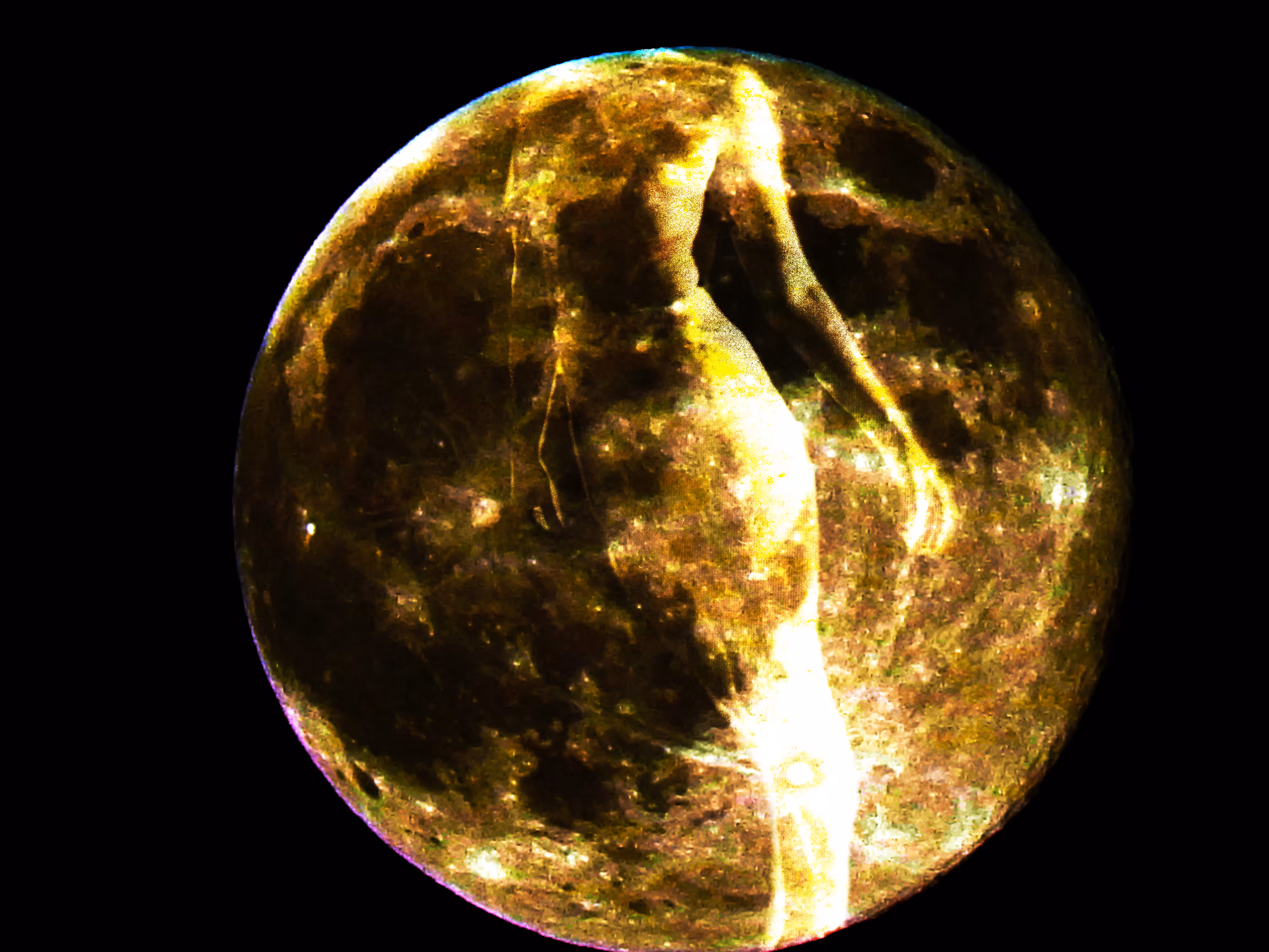 the bride of the moon