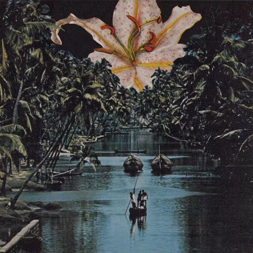 IN SEARCH OF THE BLESSED FLOWER