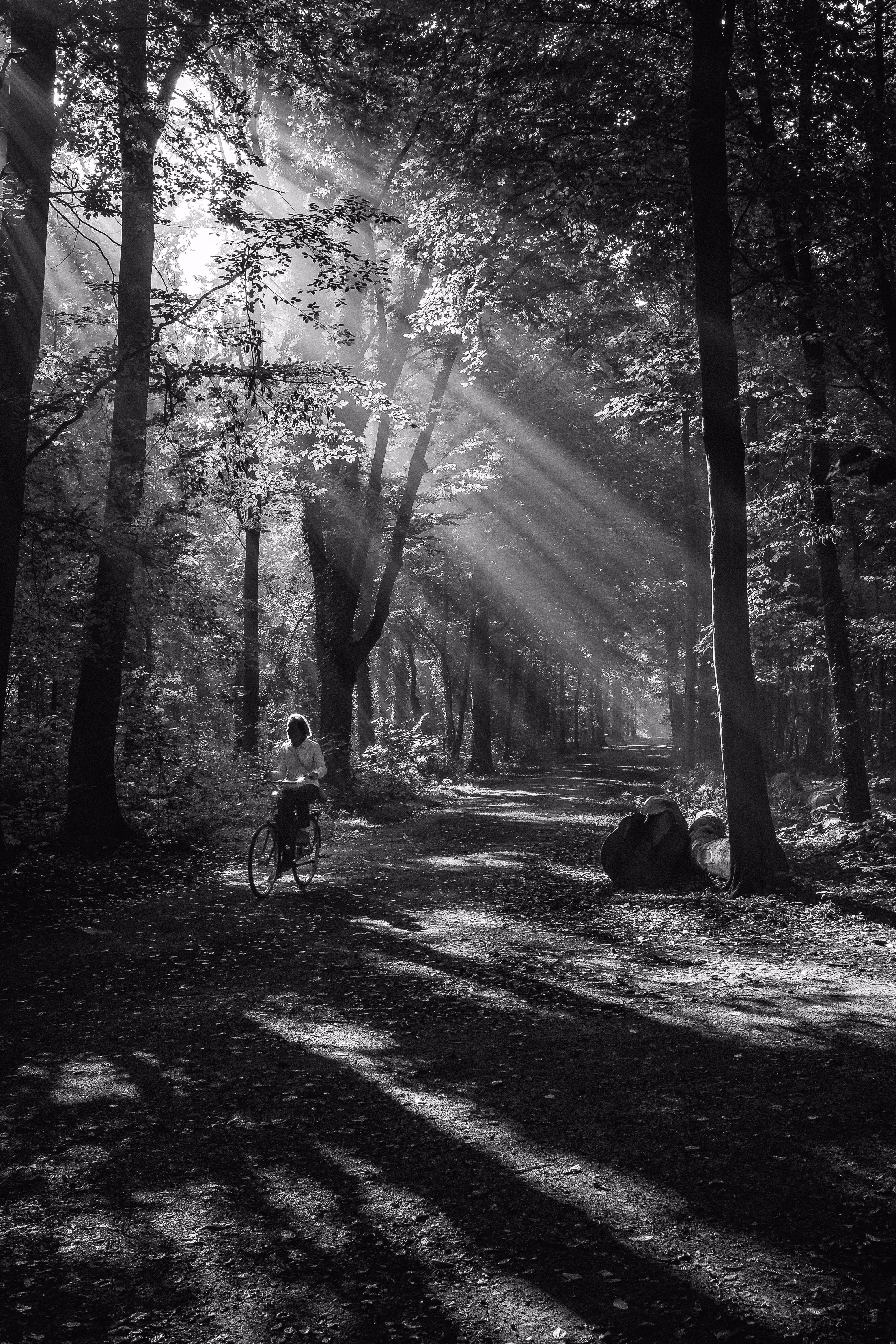 Shades of light
