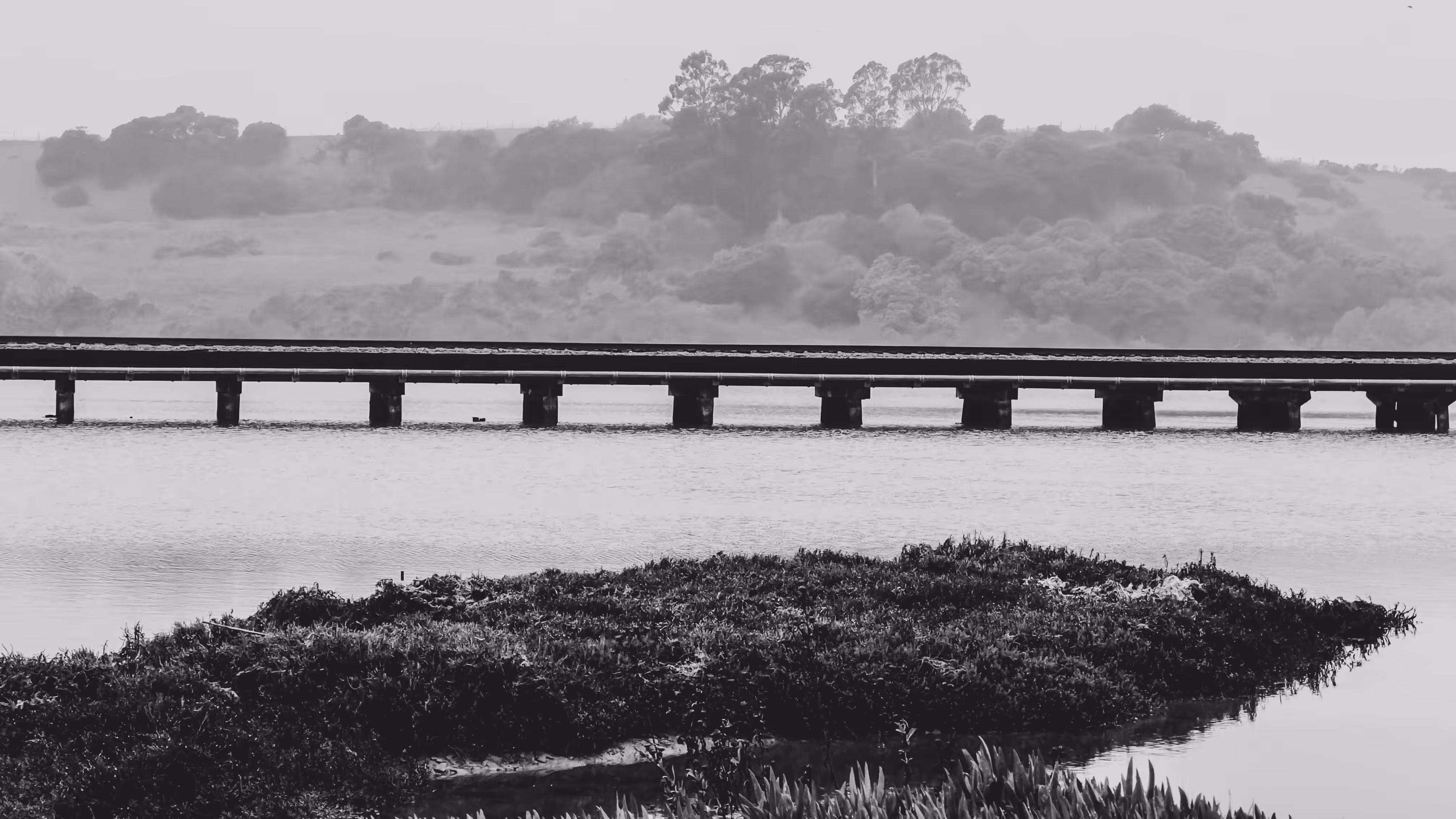 Elkhorn Slough