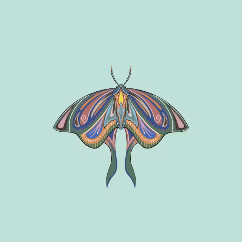 The Moth Experiment 2.0 P2 #14