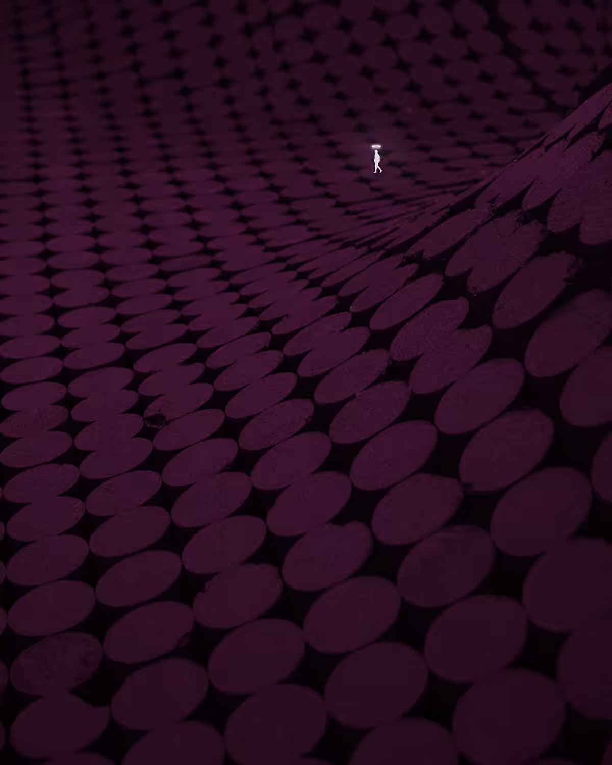 The Grand Carpet