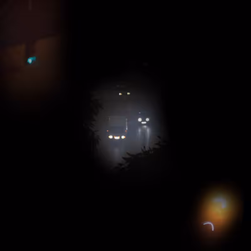 Glimpses in the shadow #8