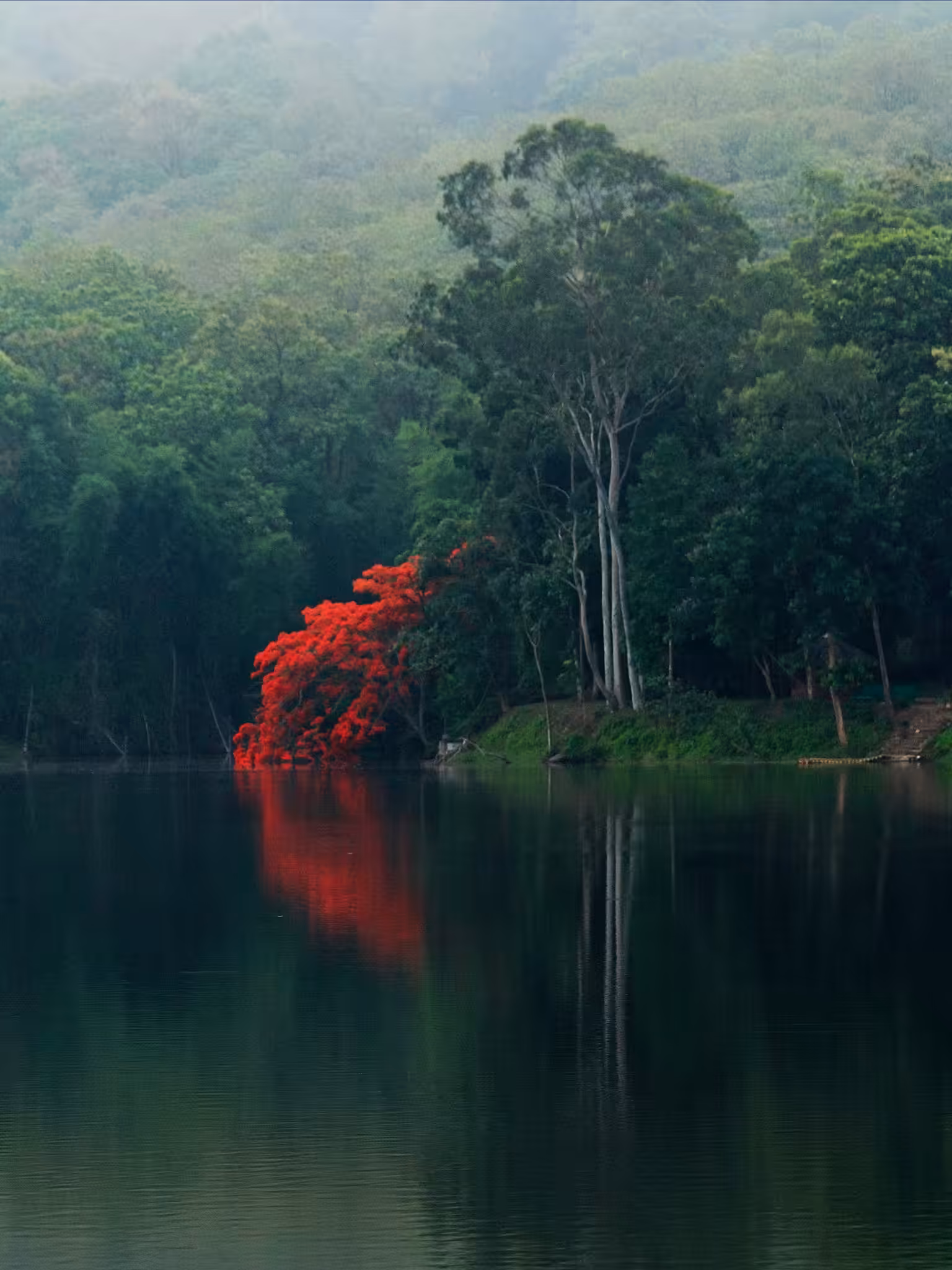 the fiery red