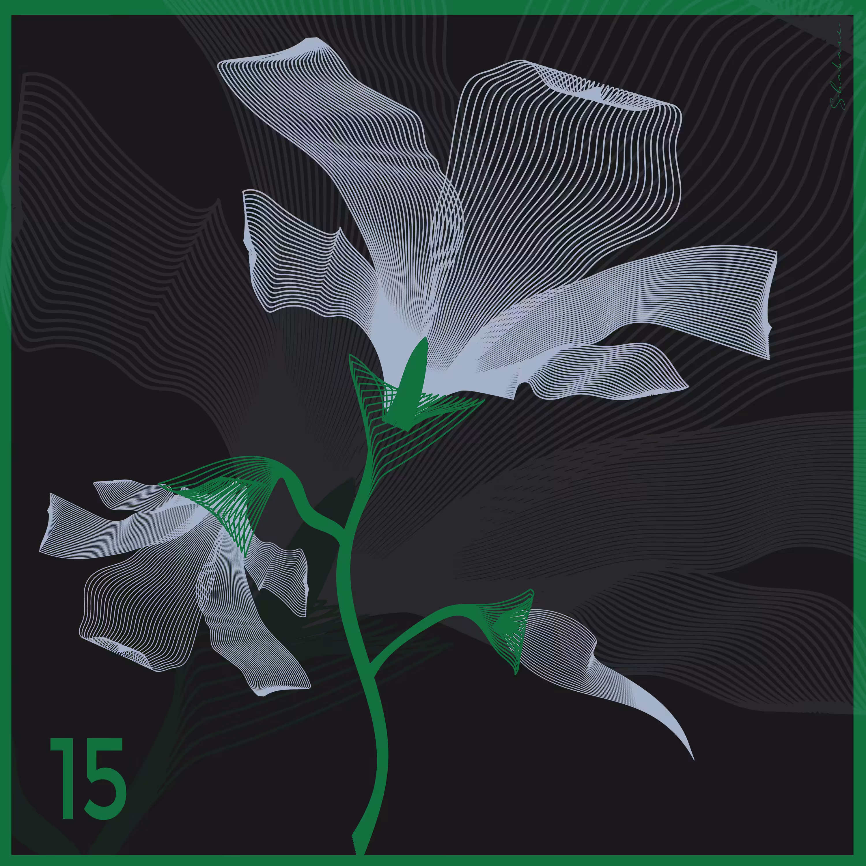 Luminara Veil