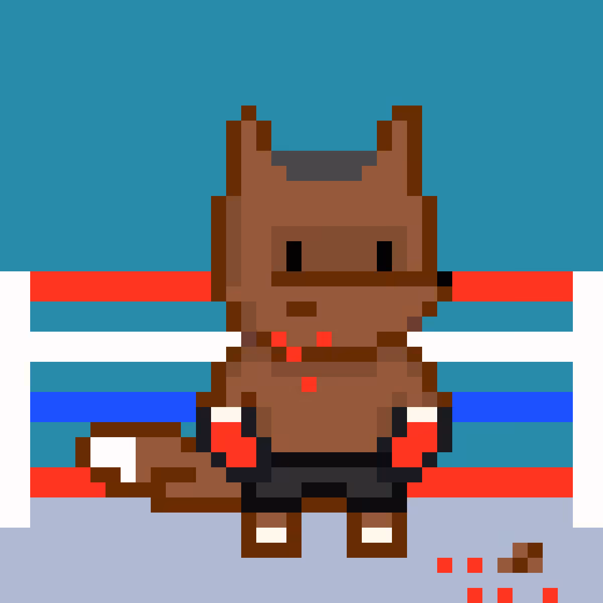 Boxer#6