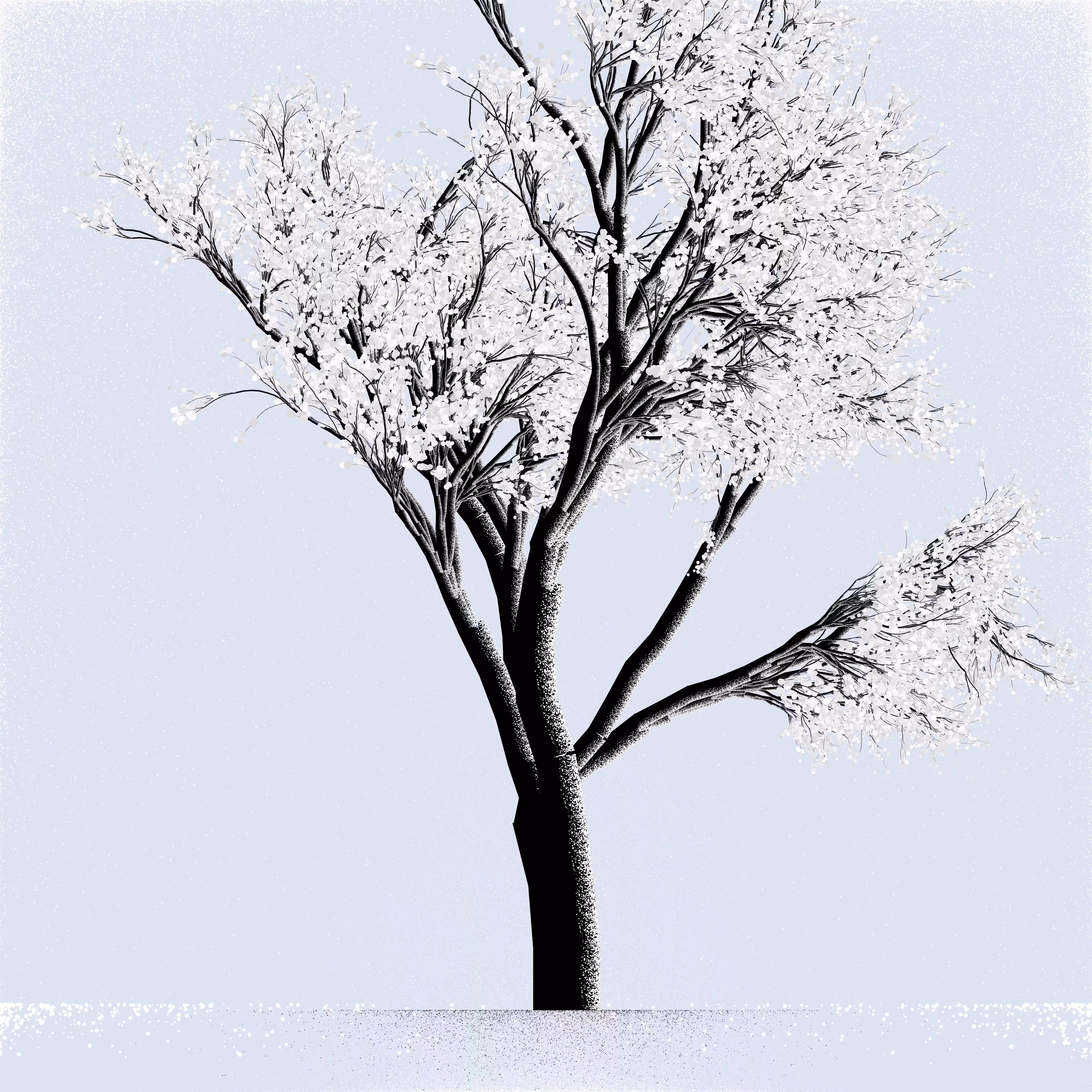 Snow Tree #22
