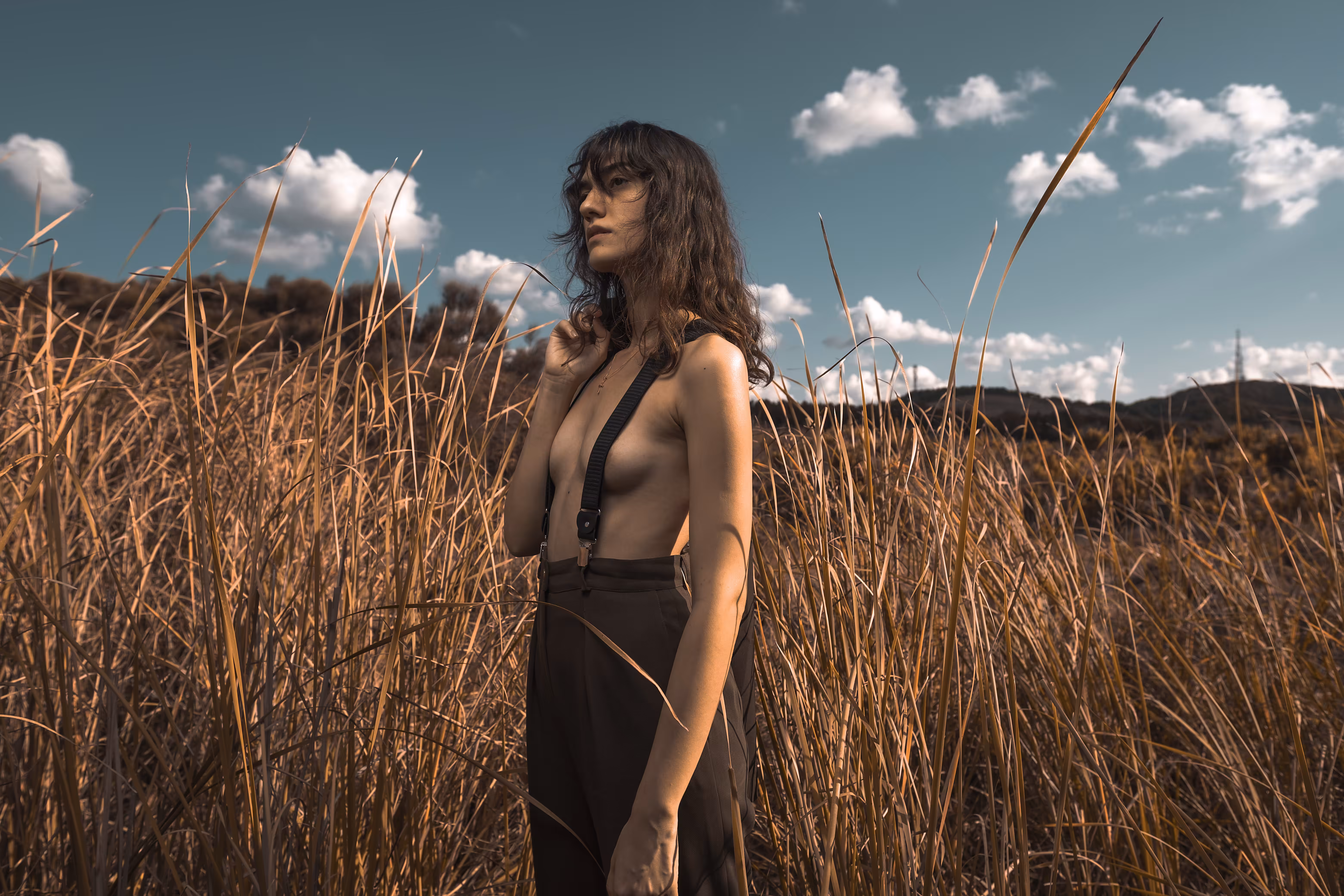 Wanderer