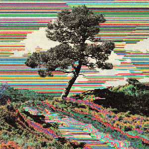Terraglitch #1