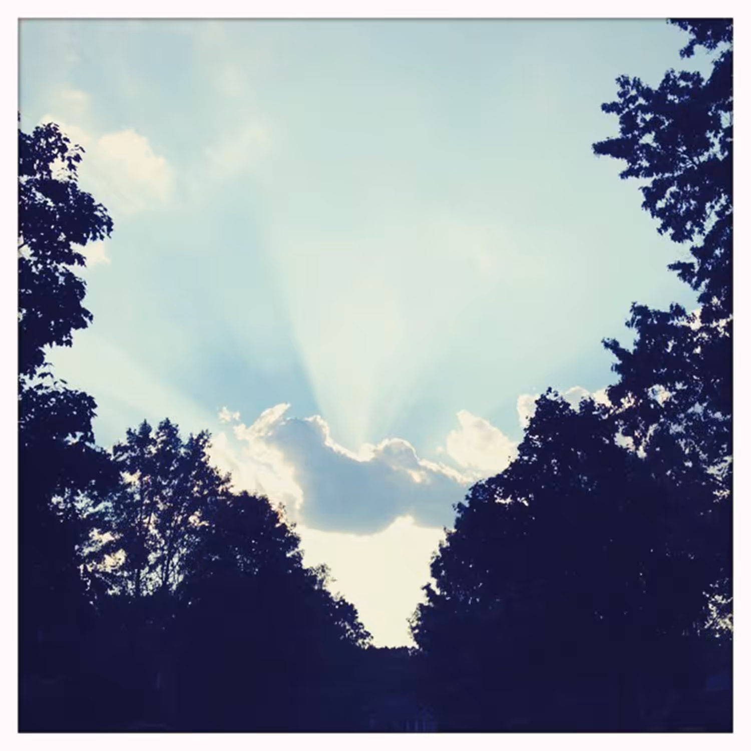 hipsta: IMG_6408