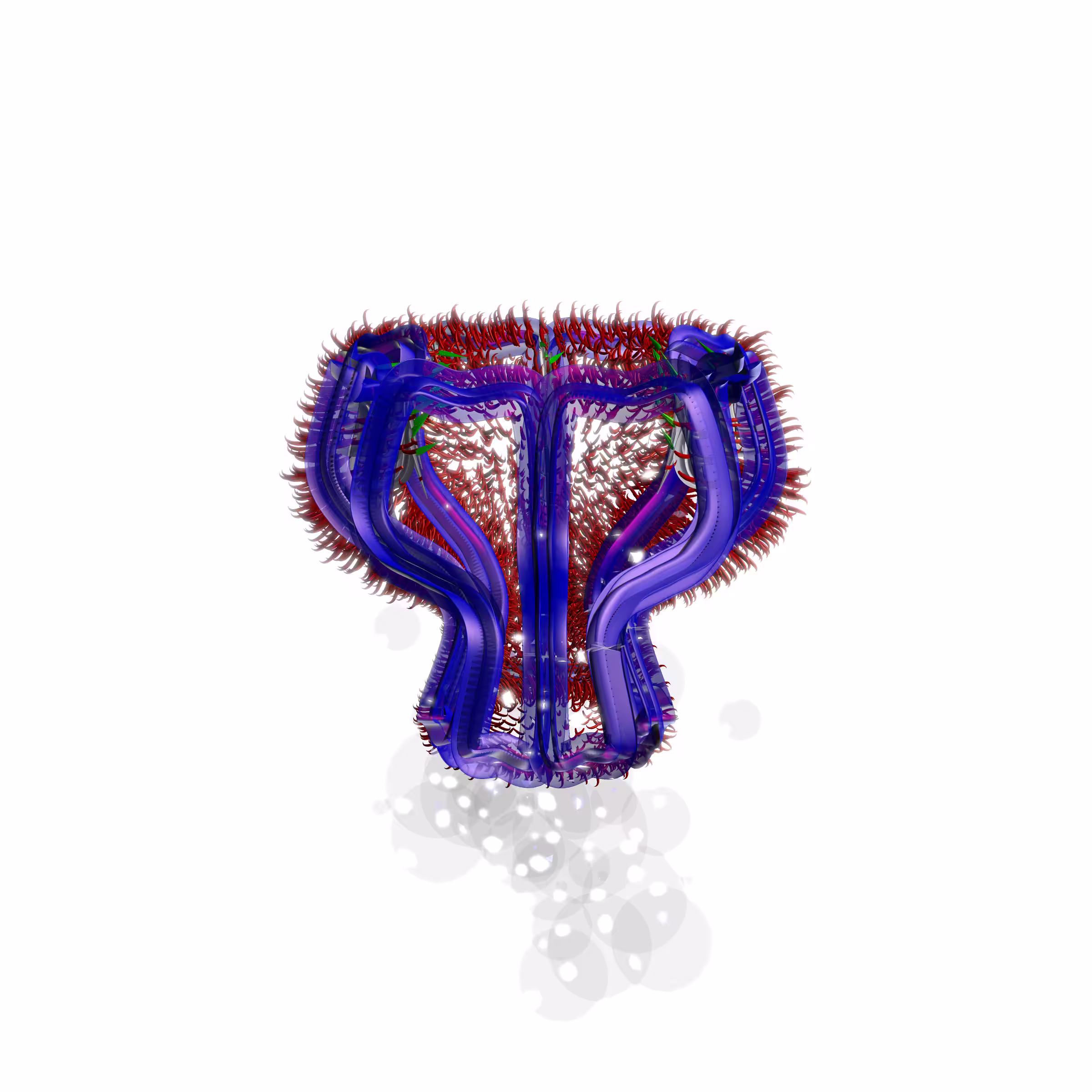 Lycorises #80