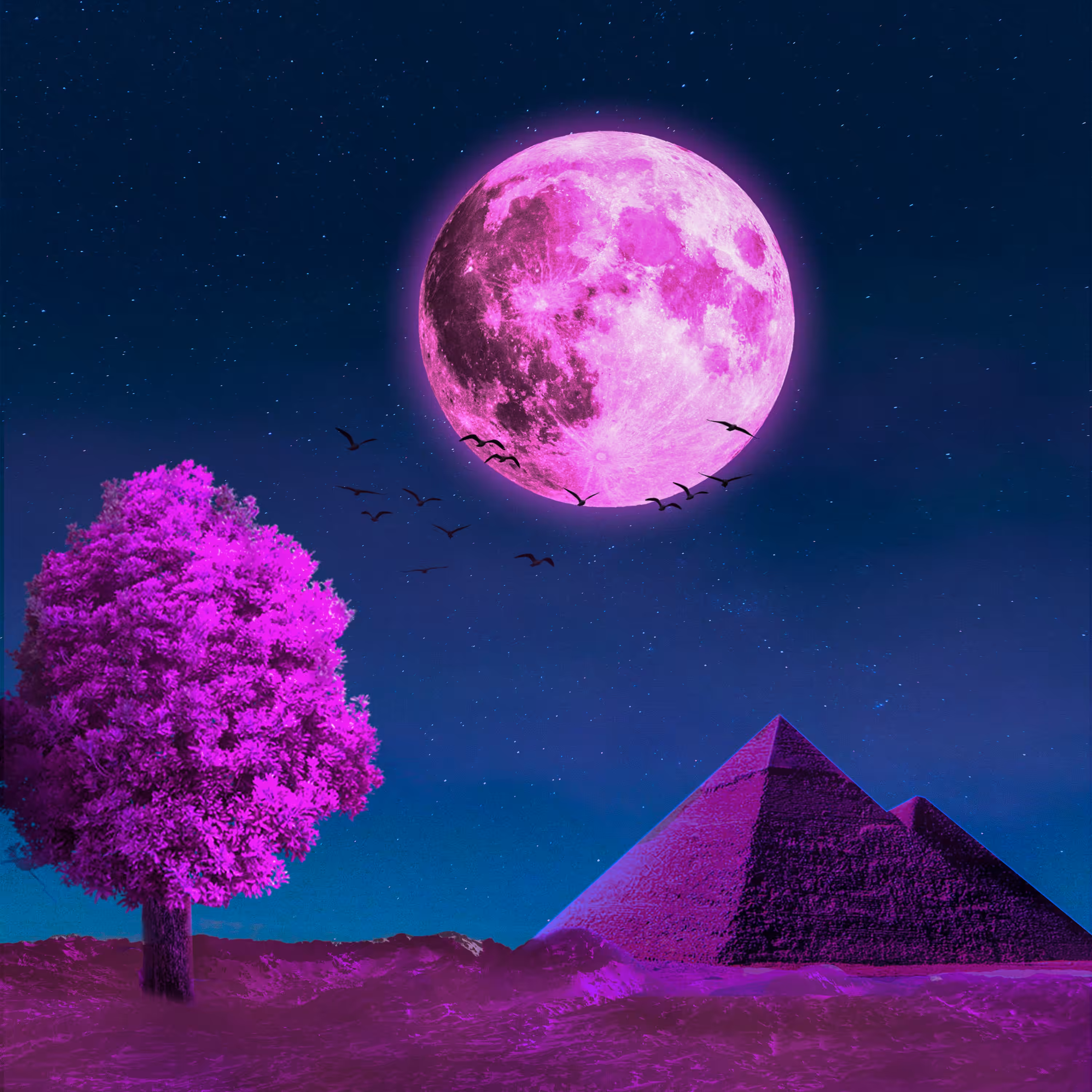 The Planet esder
