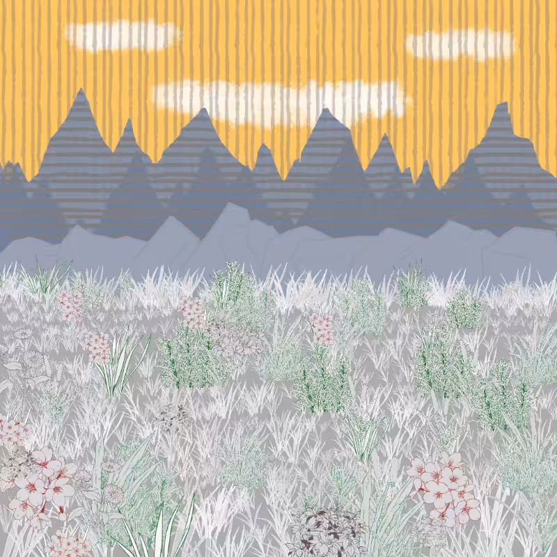 Mountain Meadows #31