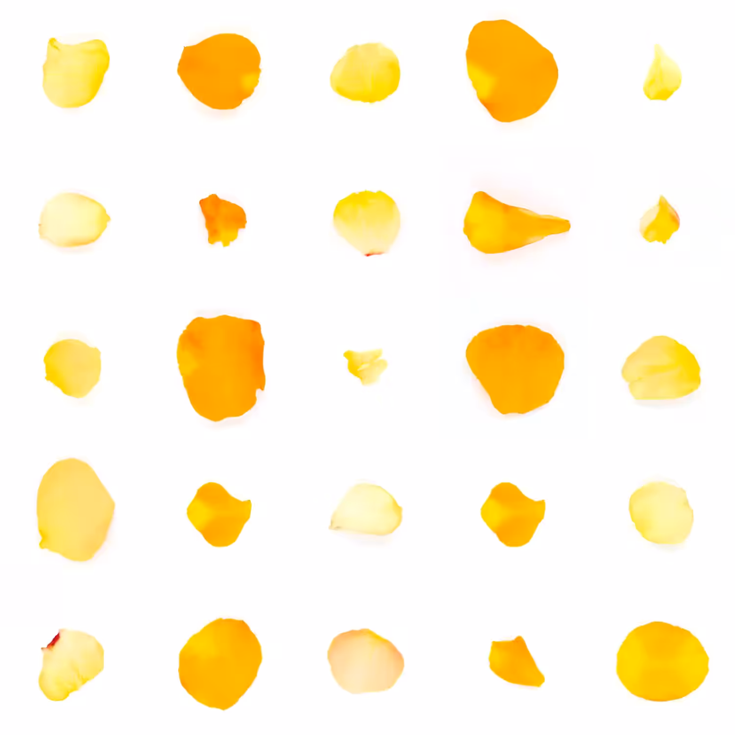 Infinite Petals 5x5#21253