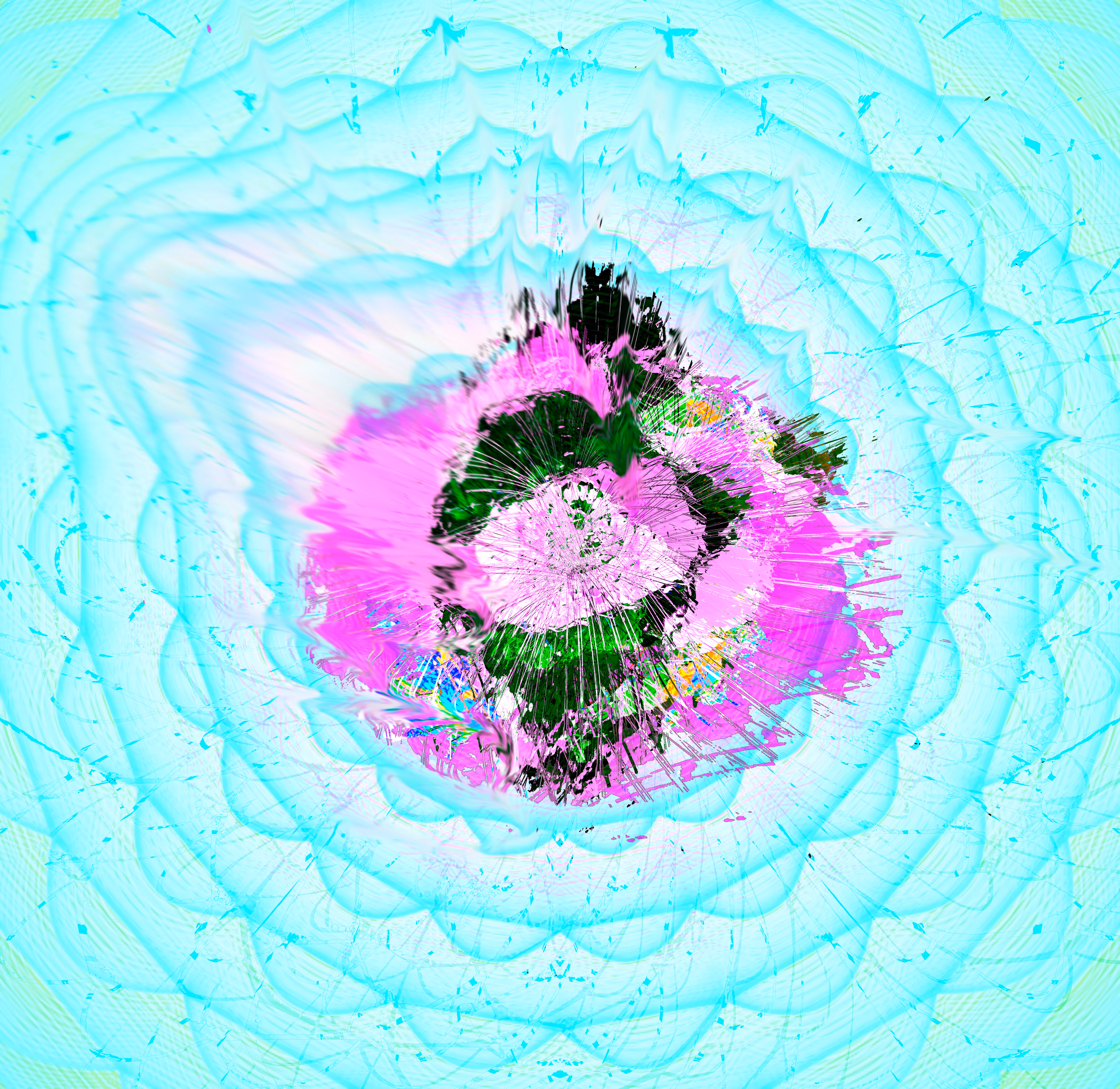  Sea Spray Rose