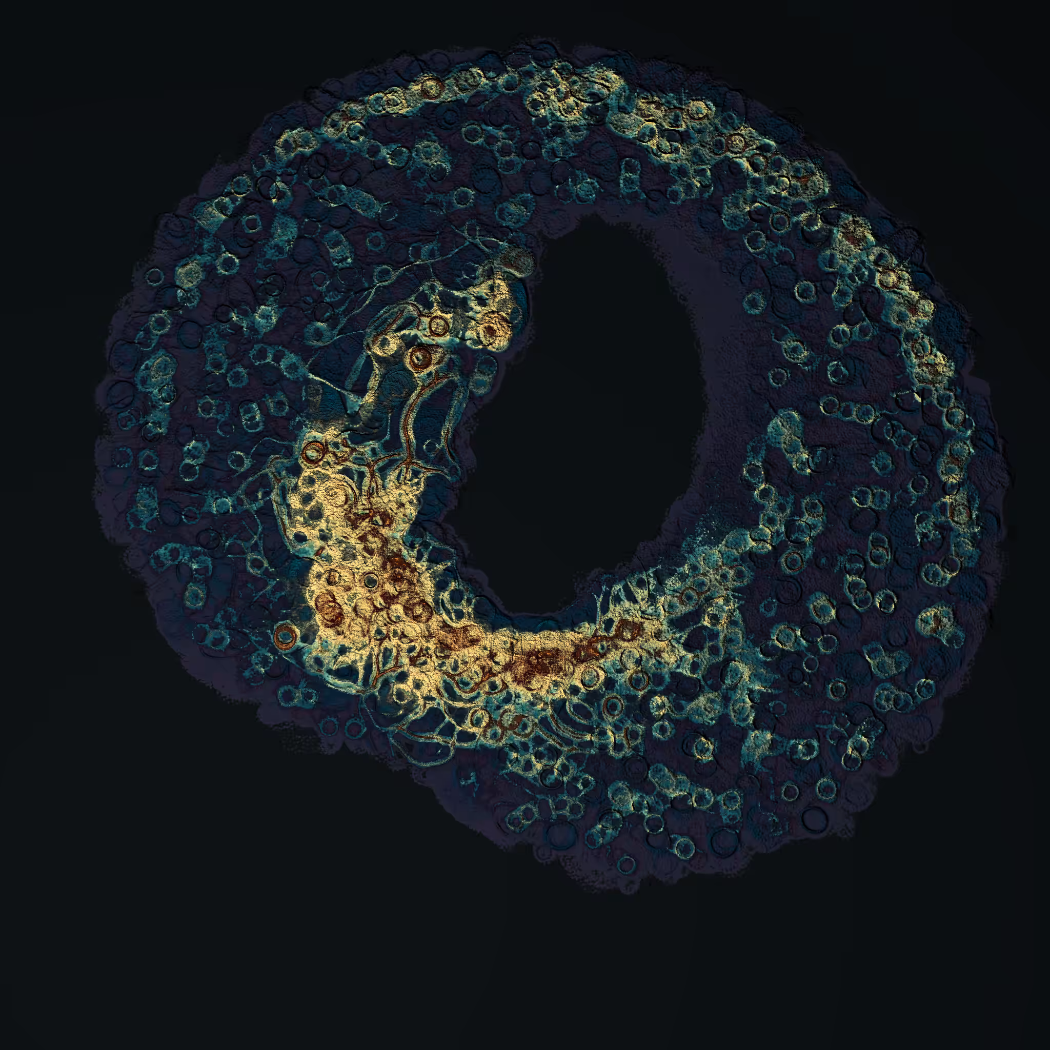 coalescence #7