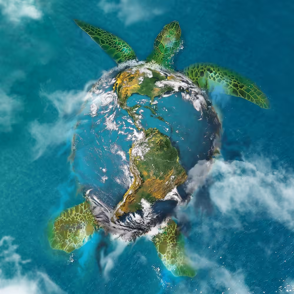 Earth Turtle