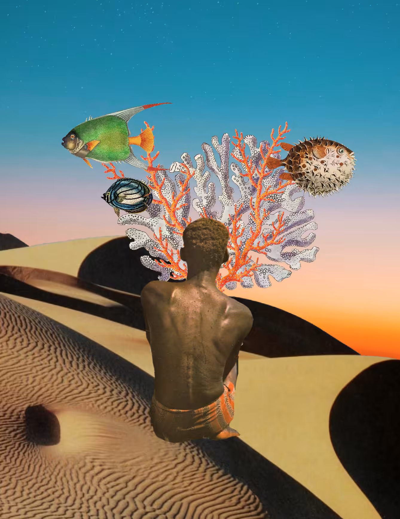 Dreamer