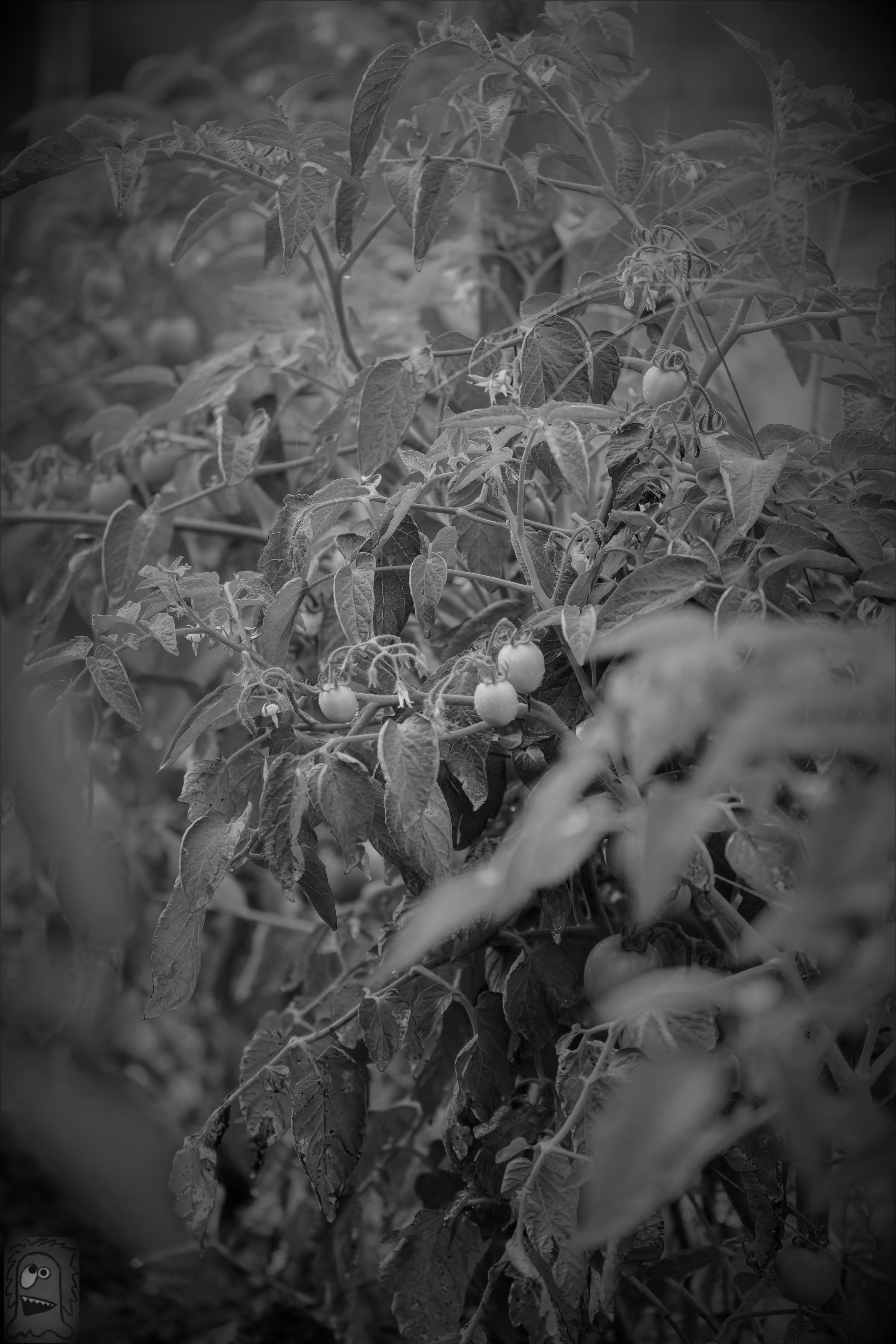 "The Fields of Grey Visual 8" Fruits of labor I