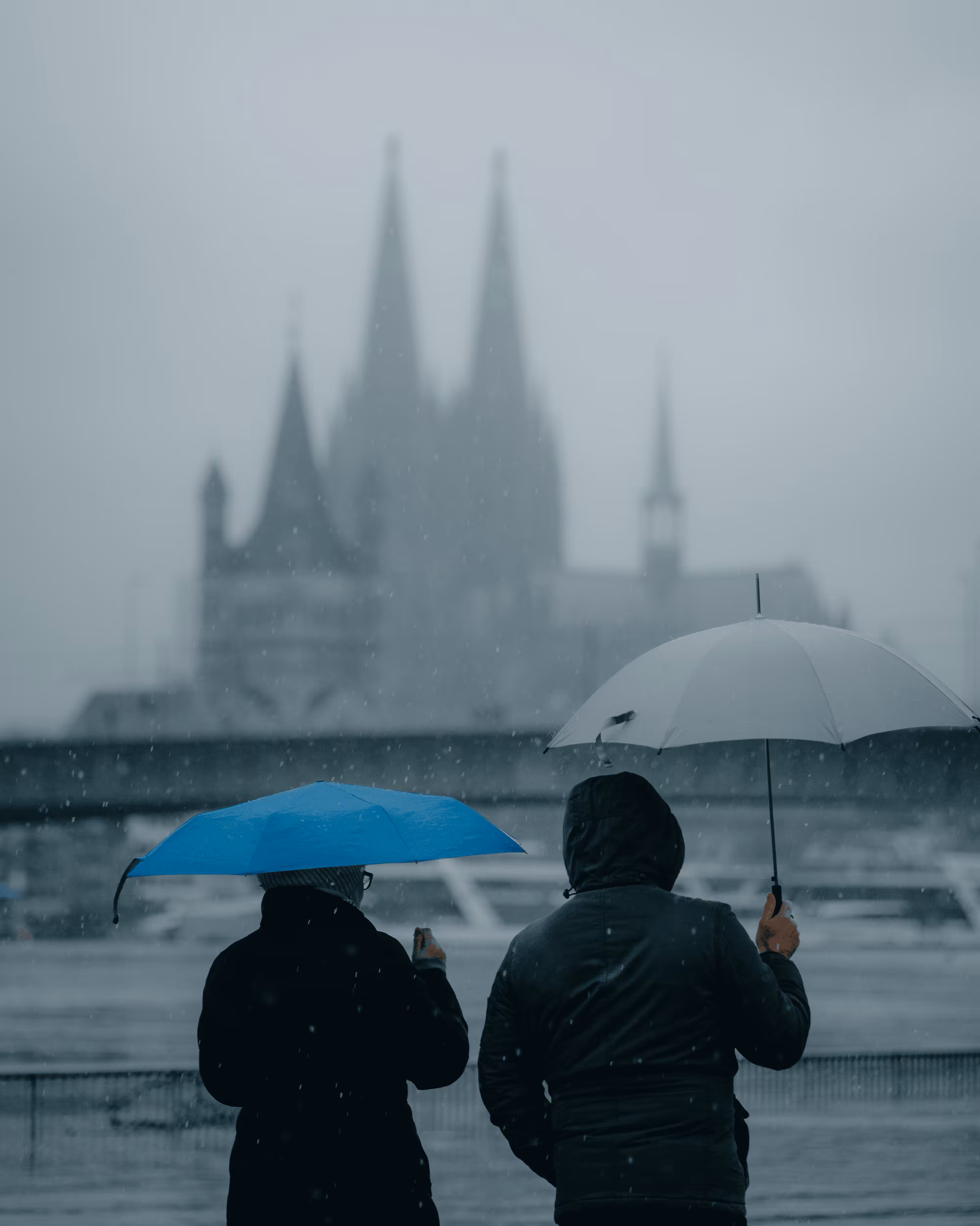 Stranger #38